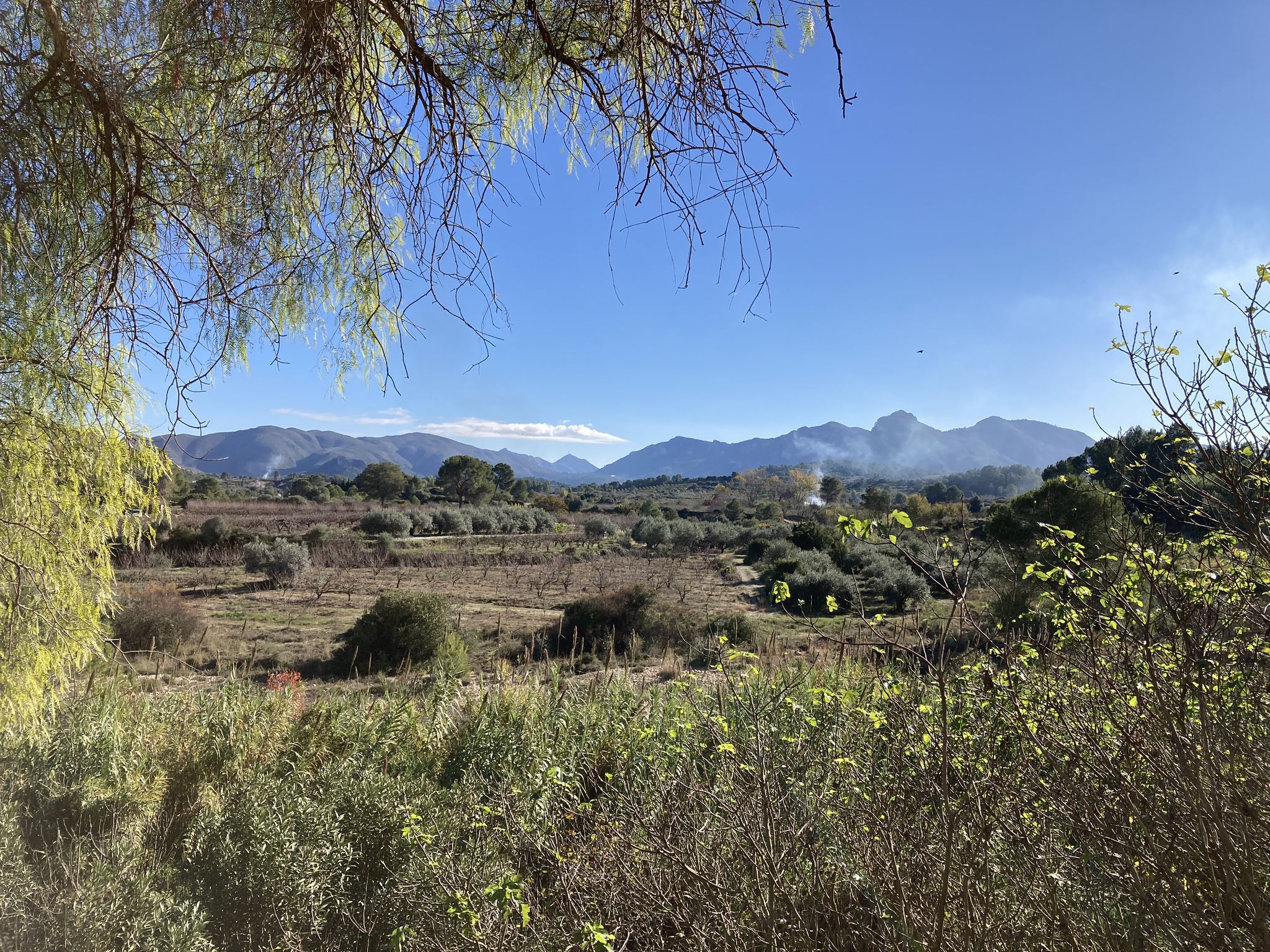 Vistas desde Barxeta