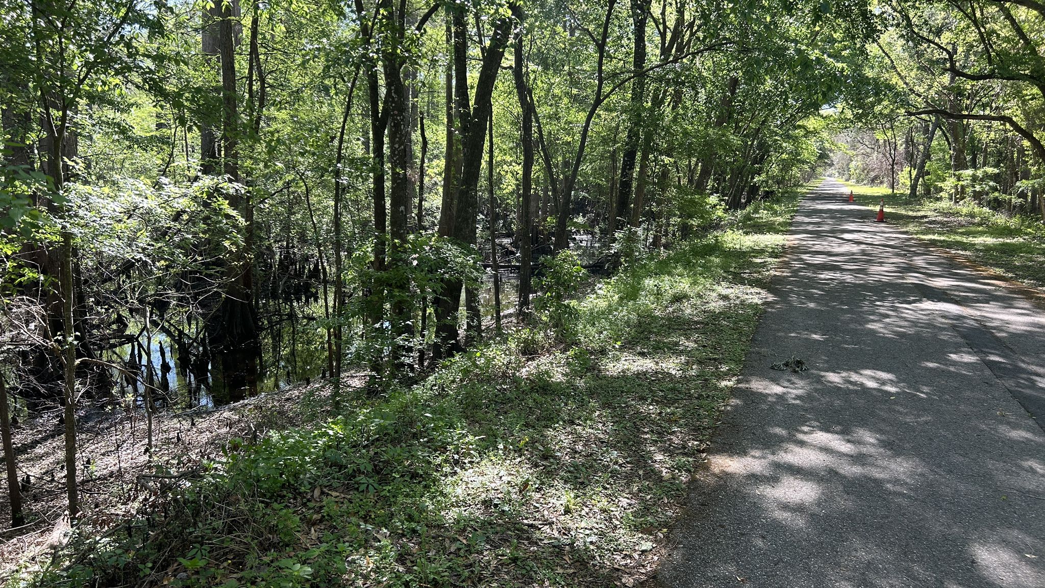 Paved path alongside a dark, swampy waterway in a green forest. - Withlacoochee State Trail and Croom Loop