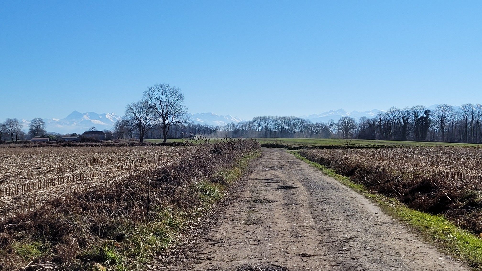 Le pèlerin a les Pyrénées dans le dos en avançant...