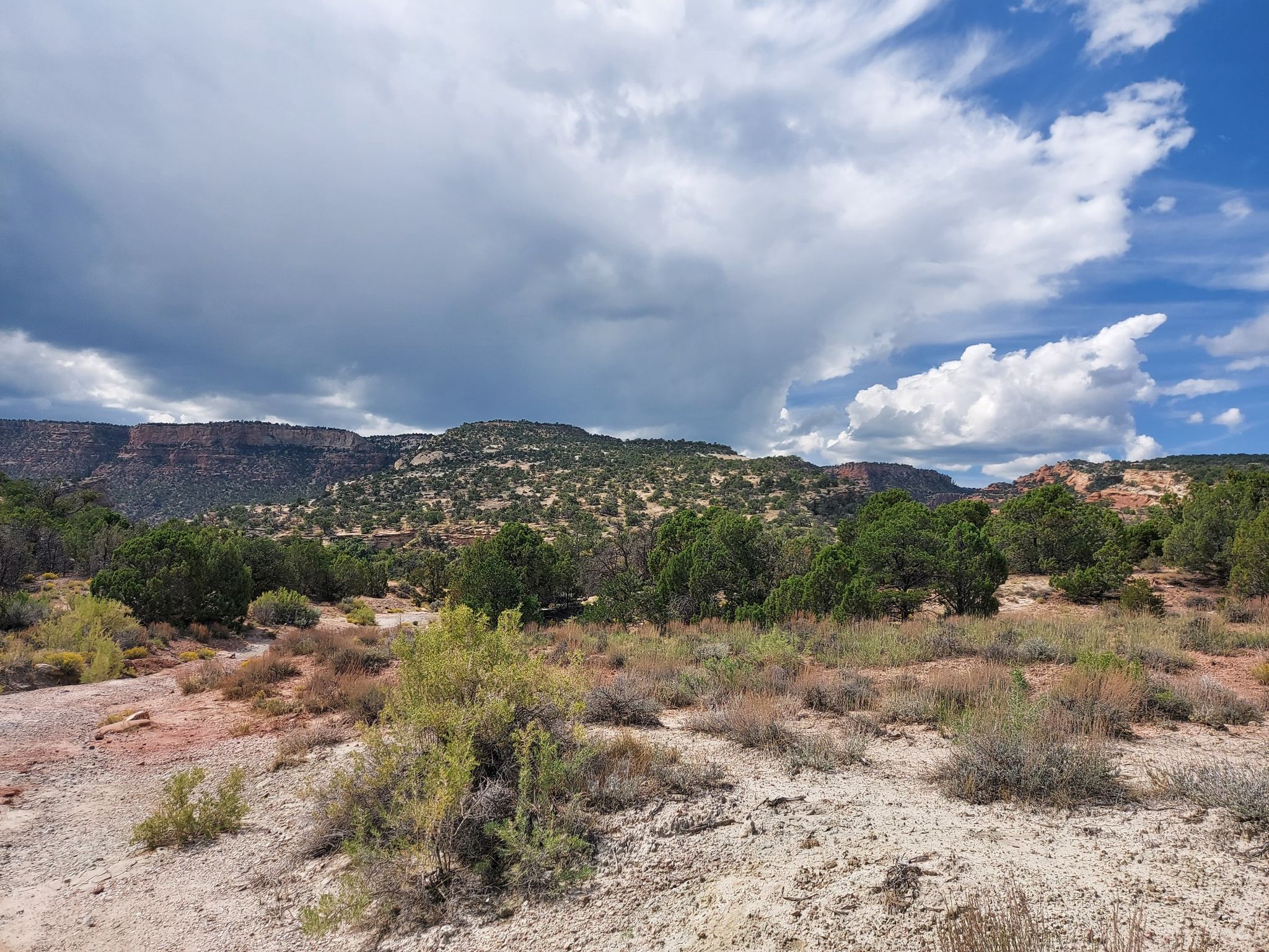 Desert landscape with scrub, distant mesas, and a dramatic cloudy sky. - Mica Mines Trail