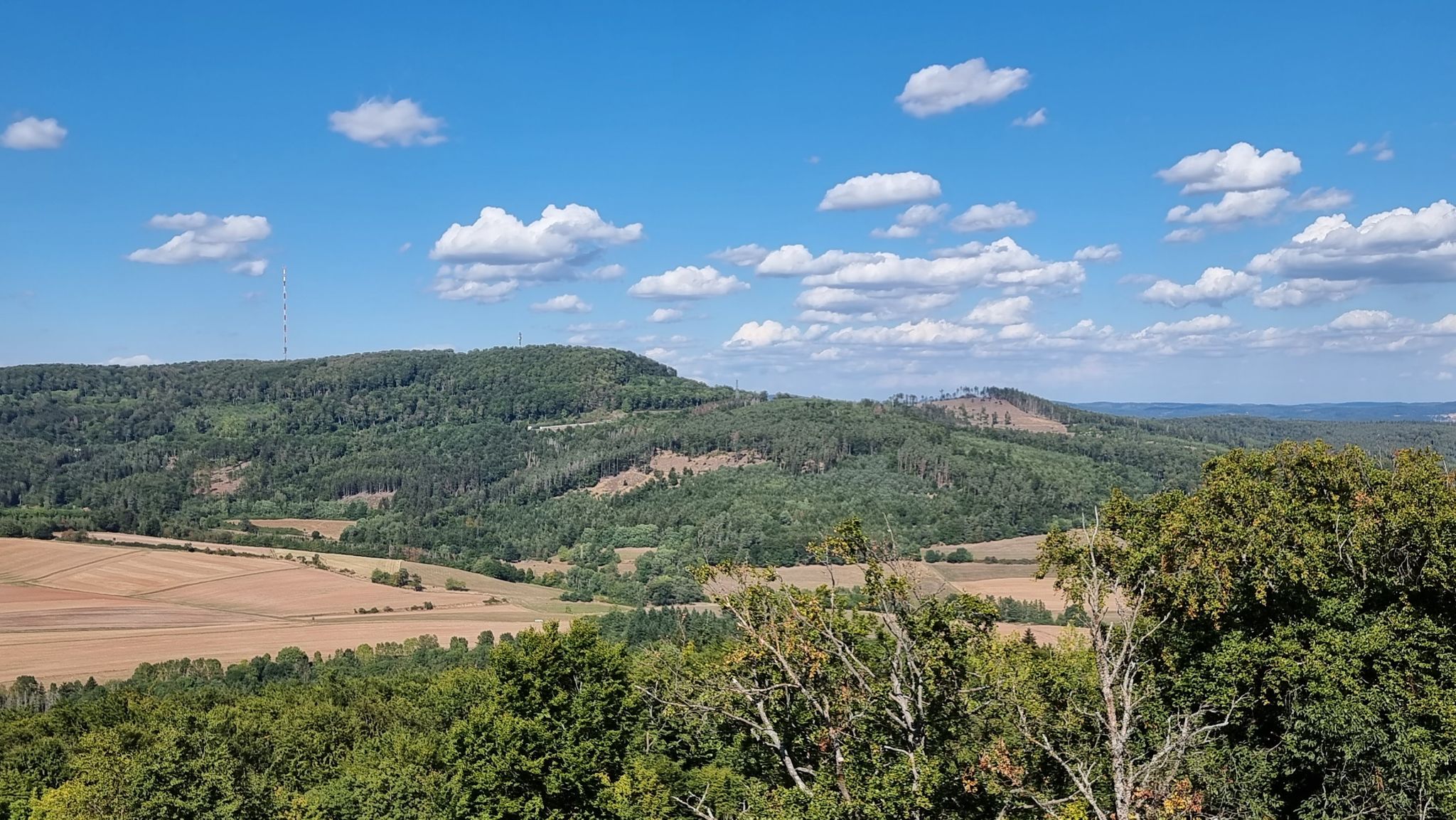 Blick vom Turm zum Rimberg