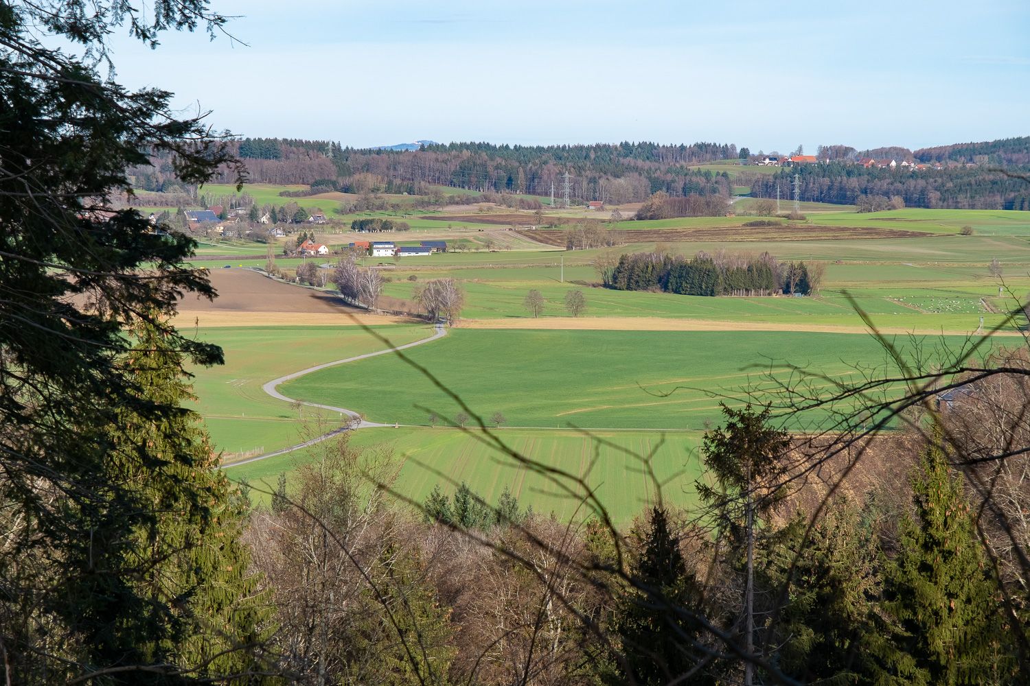 Blick nach Hüttenreute