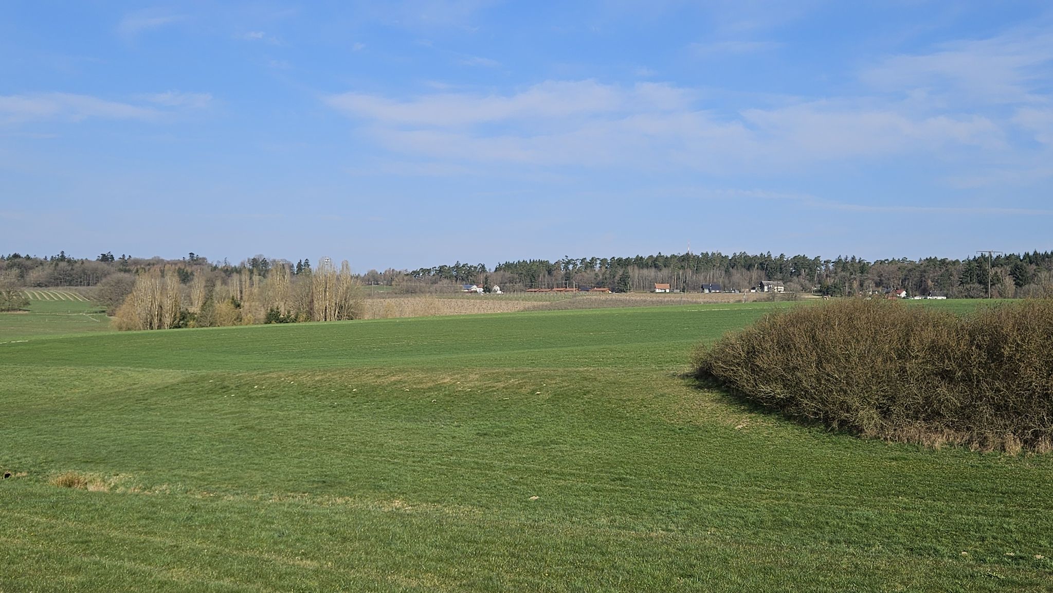 Blick auf den Waldhof
