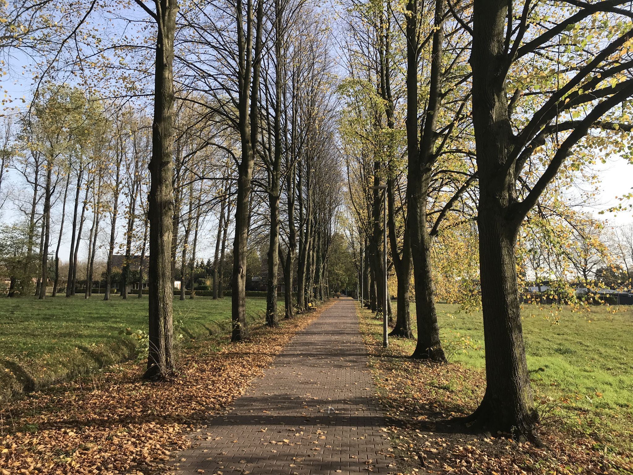 Schöner Weg durch den Brunnenpark