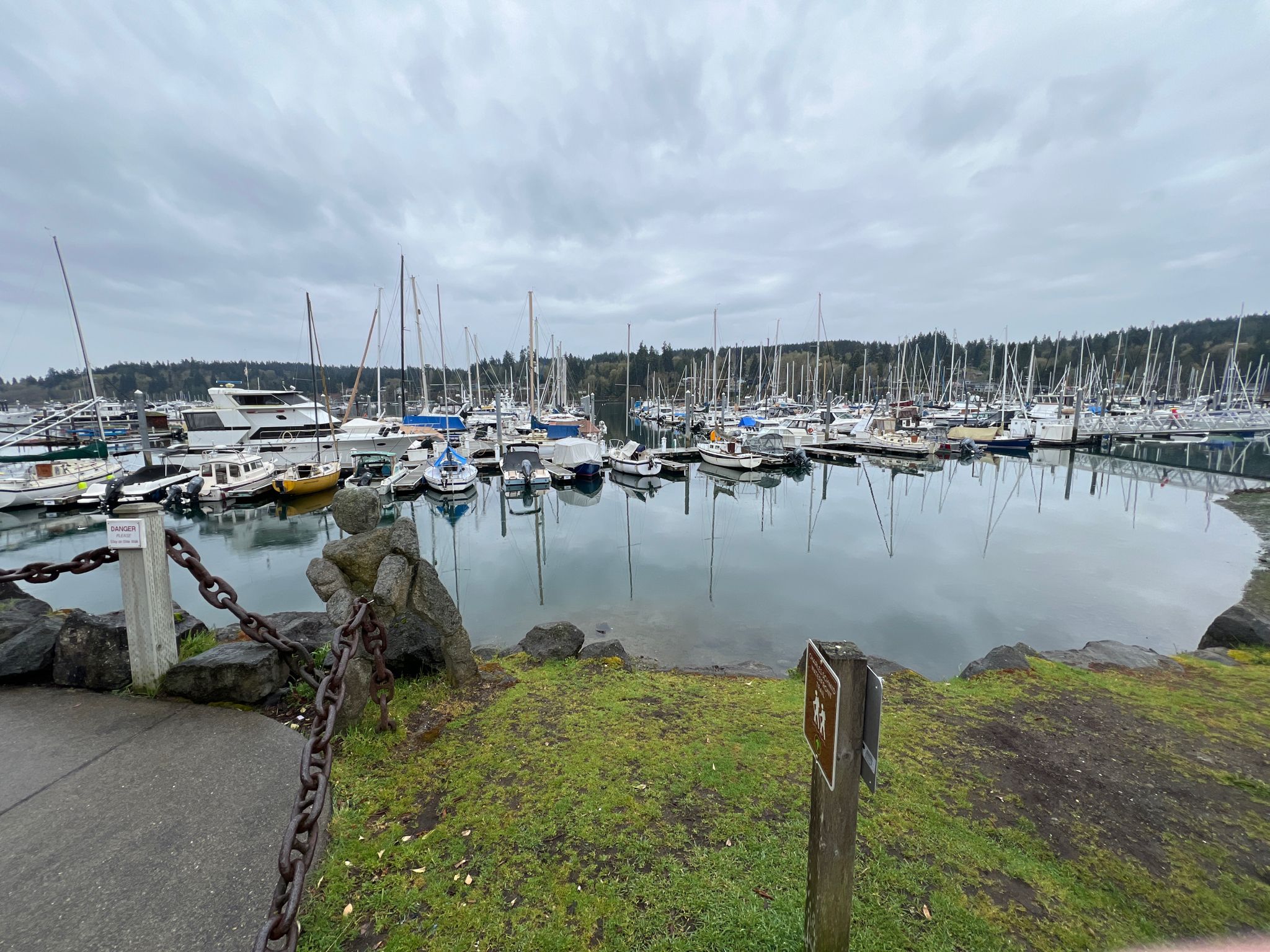 Marina packed with boats, calm water reflecting an overcast sky. - Sakai Park and pond – Bainbridge Waterfront Park loop from Bainbridge Island Japanese American Exclusion Memorial