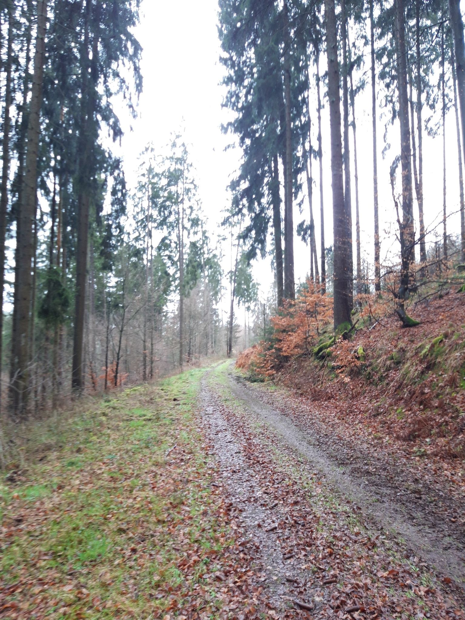 wandern 