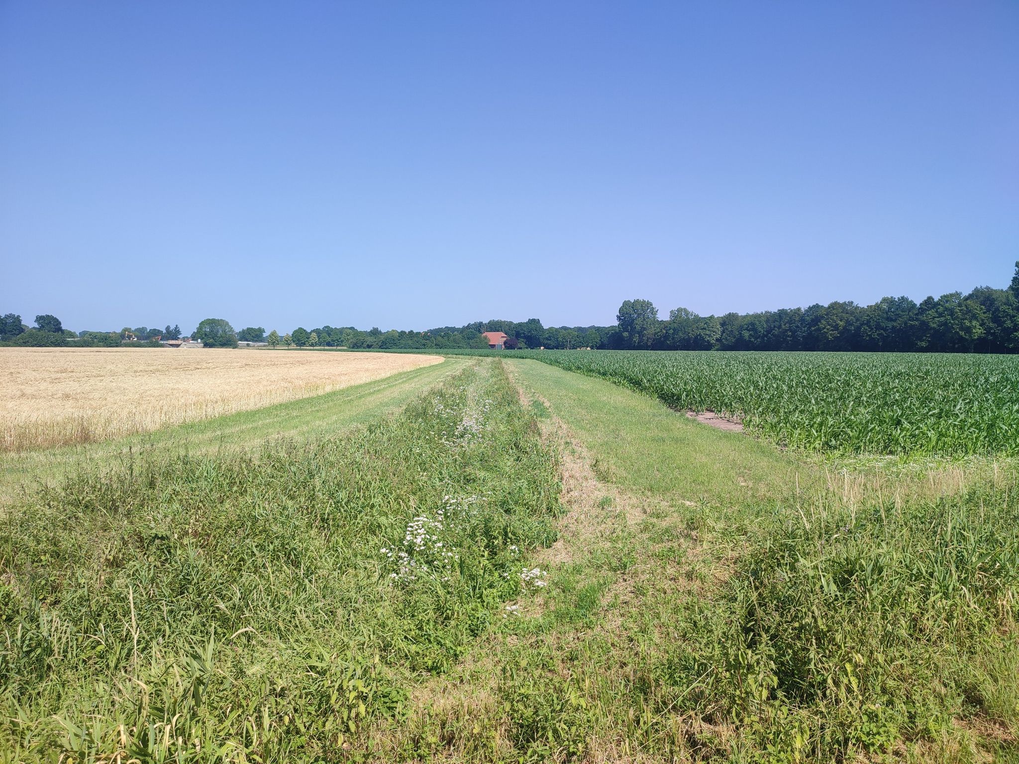 Osterbauerschaft, alter Emmerbachlauf