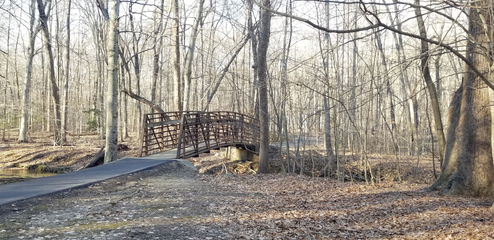 Metal bridge over a small stream in a bare winter forest. - Occoquan River views – Occoquan Workhouse loop from Burke