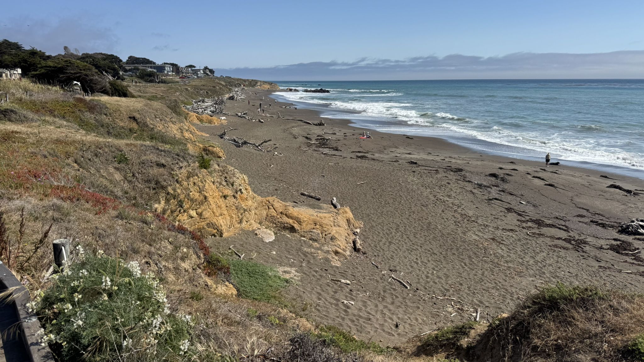 Wide sandy beach with driftwood, waves, and distant houses under a clear sky. - Moonstone Beach – Moonstone Beach Boardwalk loop from Hearst San Simeon State Park