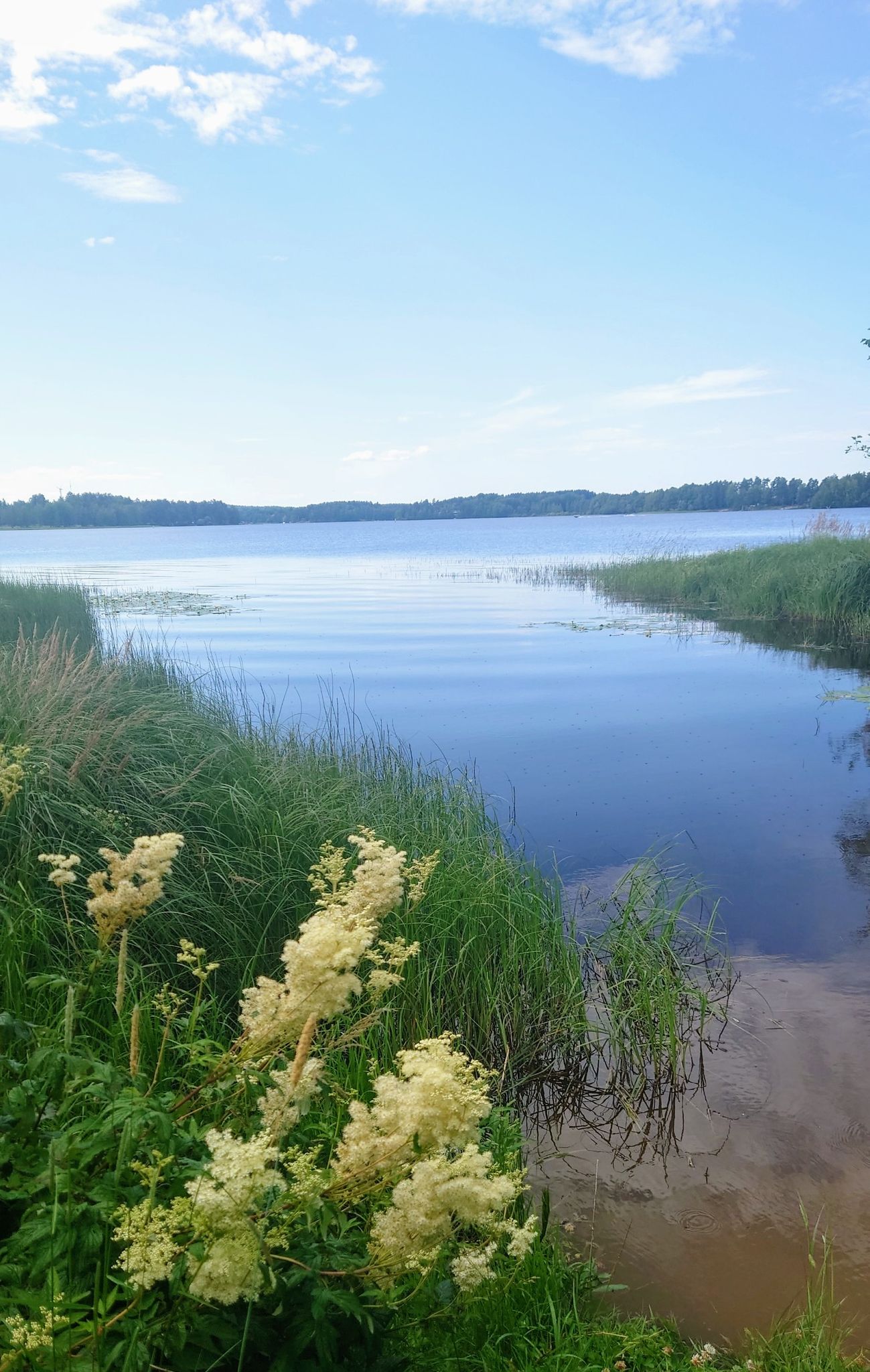 der See Kyrösjärvi