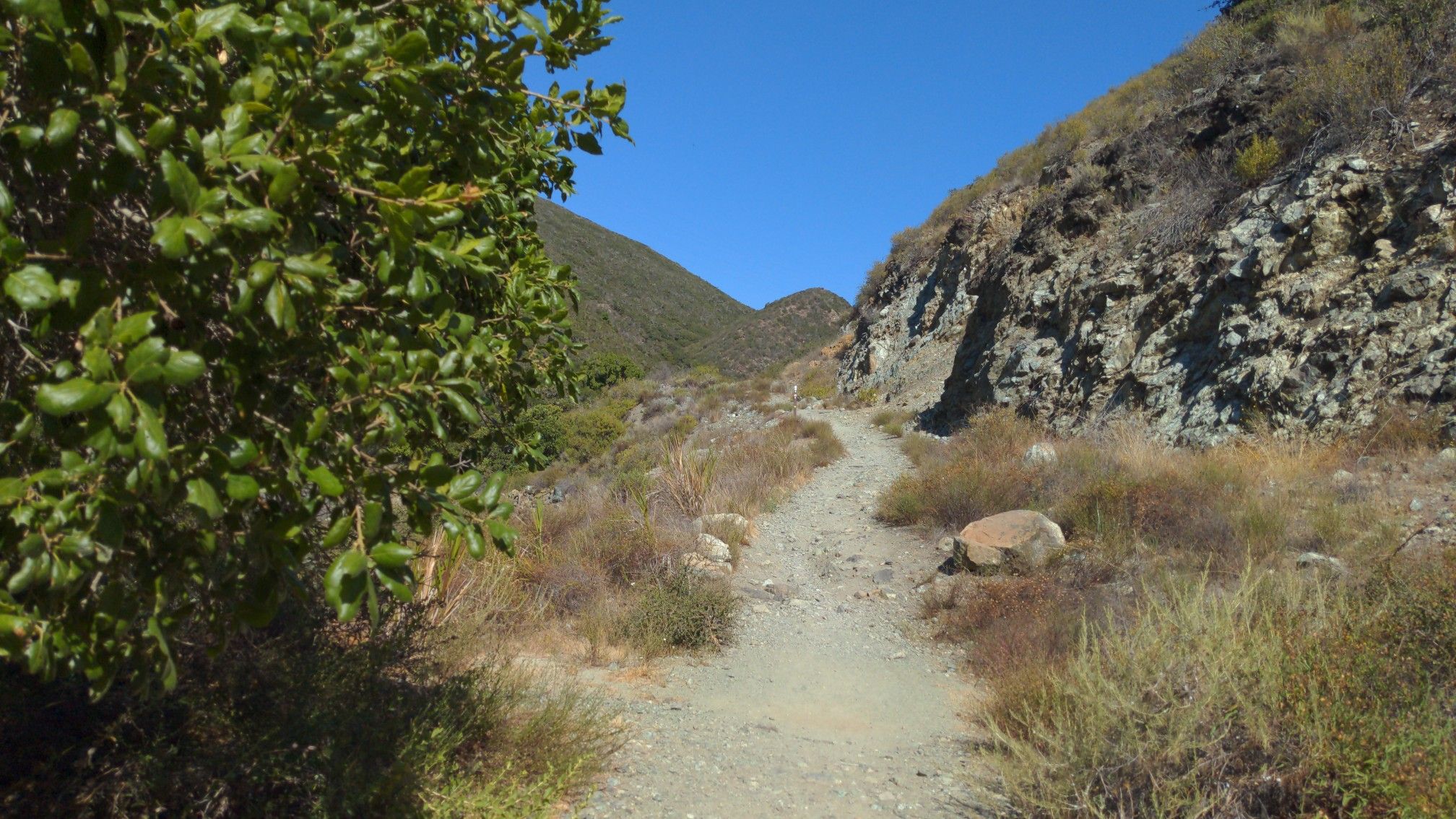 A sunny dirt path winds between green foliage and dry, rocky hills. - Froom Creek, Old Prospector, and Pond Loop