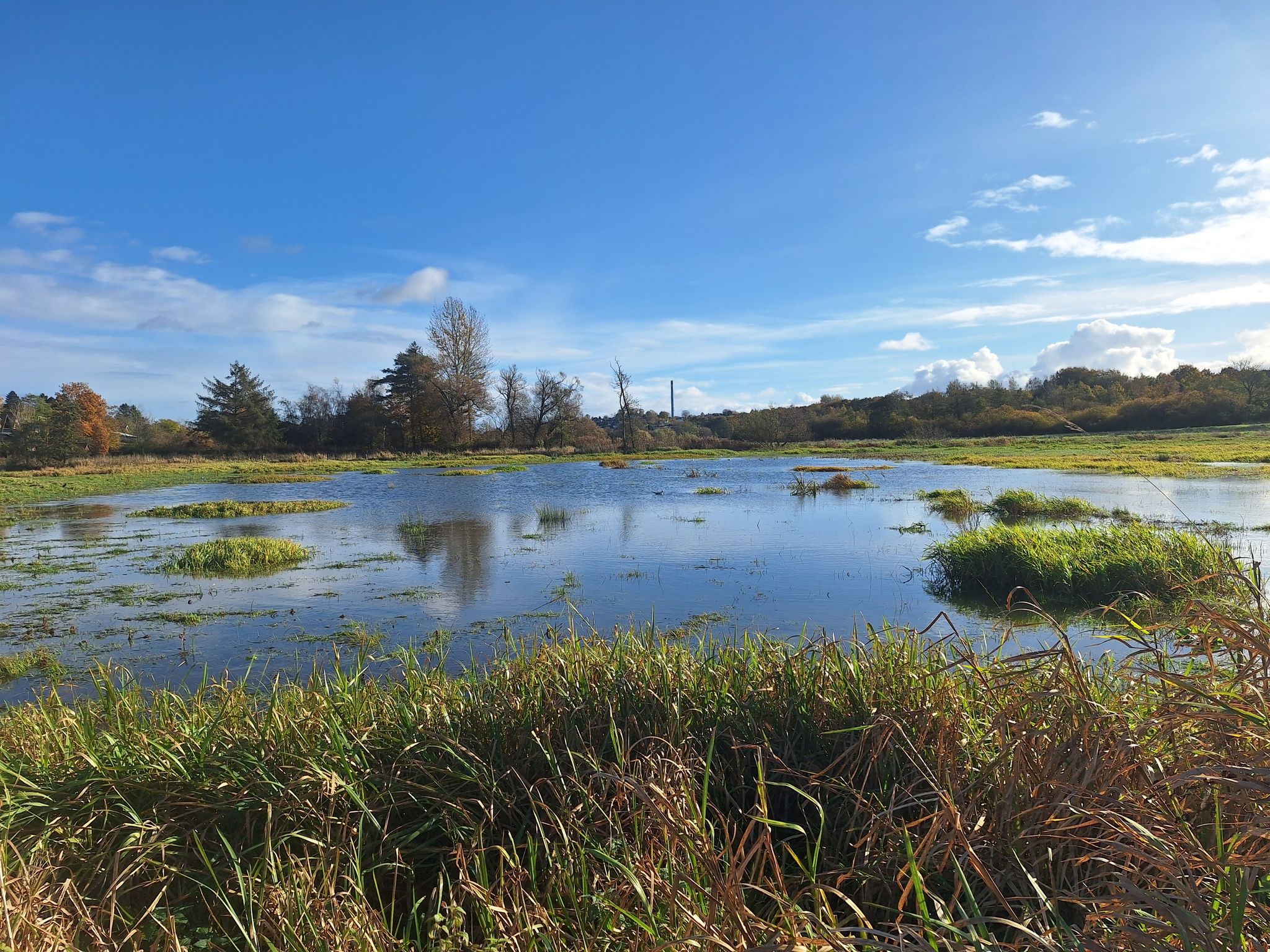 Viel Wasser am Kolding Å