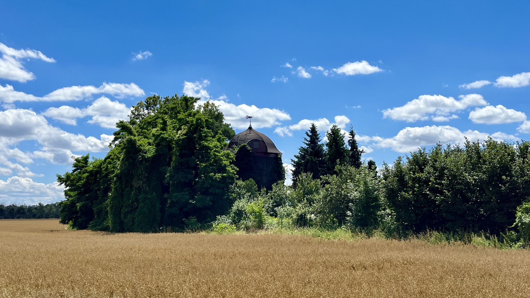 Turmholländermühle Canitz