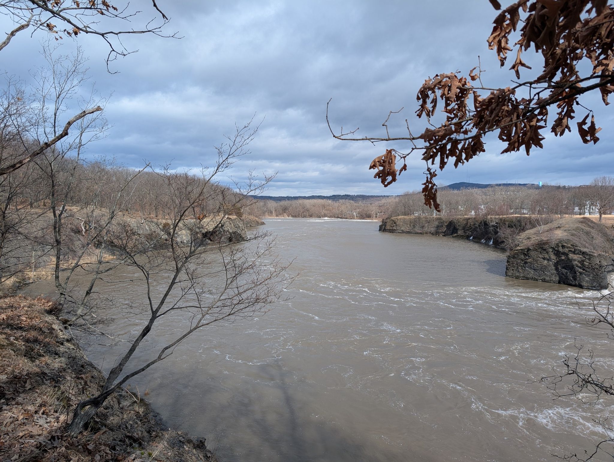 Wide river flowing between bare trees and rocky banks under cloudy sky. - Peebles Island Perimeter Trail