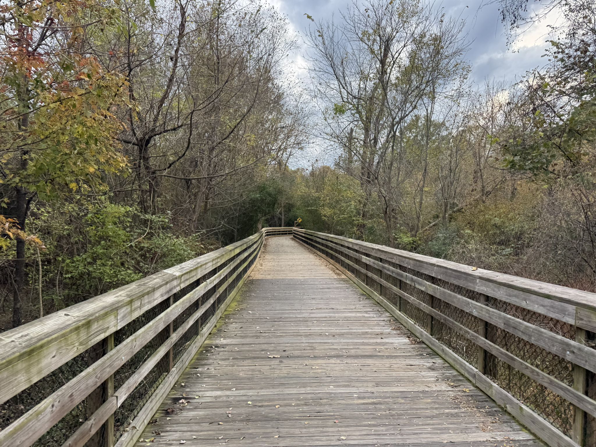 A straight wooden boardwalk extends through a forest with bare and green trees under a cloudy sky. - White Oak Creek Greenway