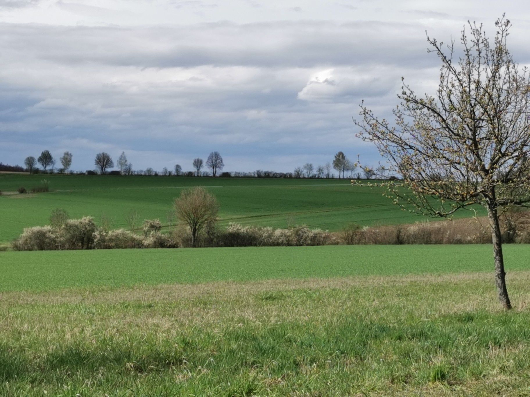 Sitzbank bei Kist. Wunderschöner Ausblick. 
