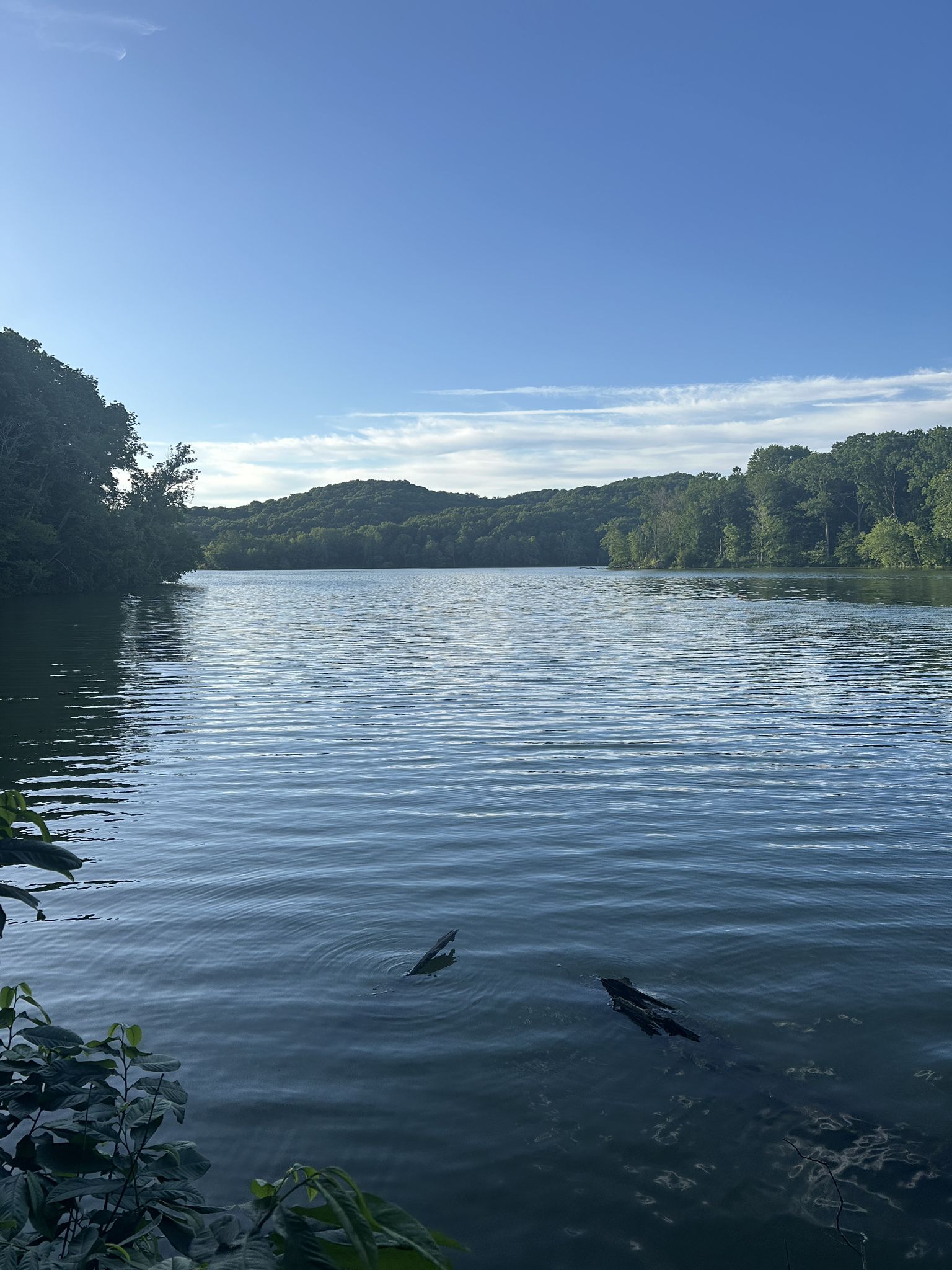 Calm lake reflecting blue sky, surrounded by lush green hills under bright sun. - Radnor Lake Loop