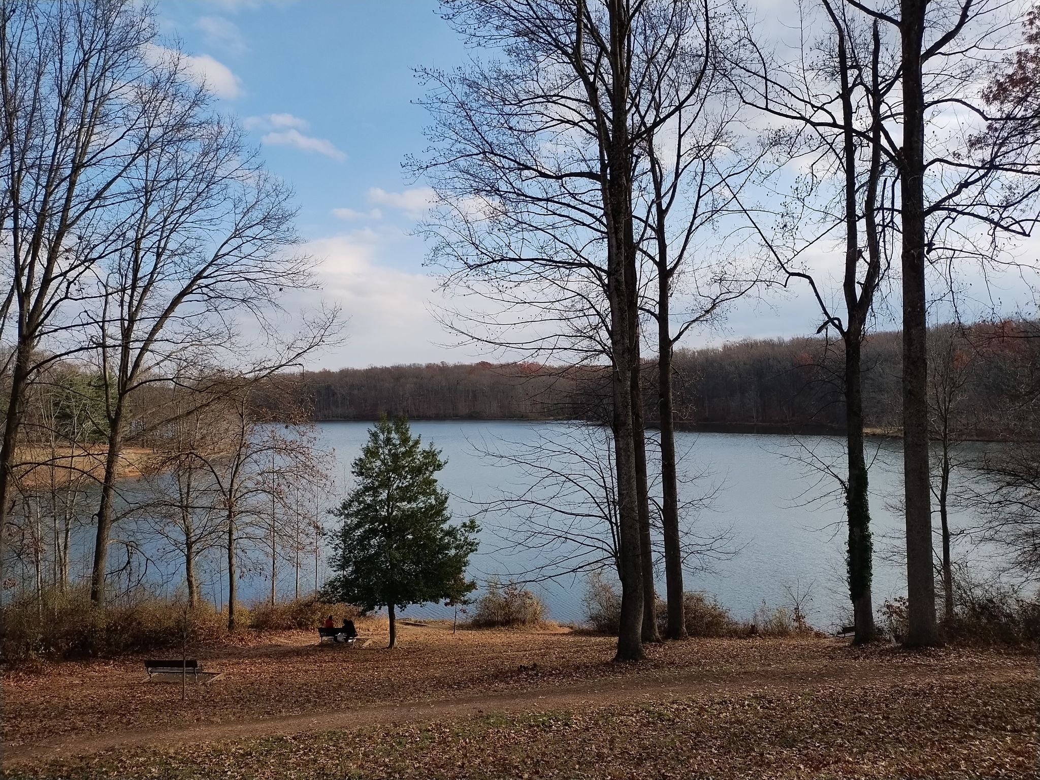 Bare trees frame a lake under a partly cloudy sky, with people sitting. - Clopper Lake loop from Strider Wildlife Management Area