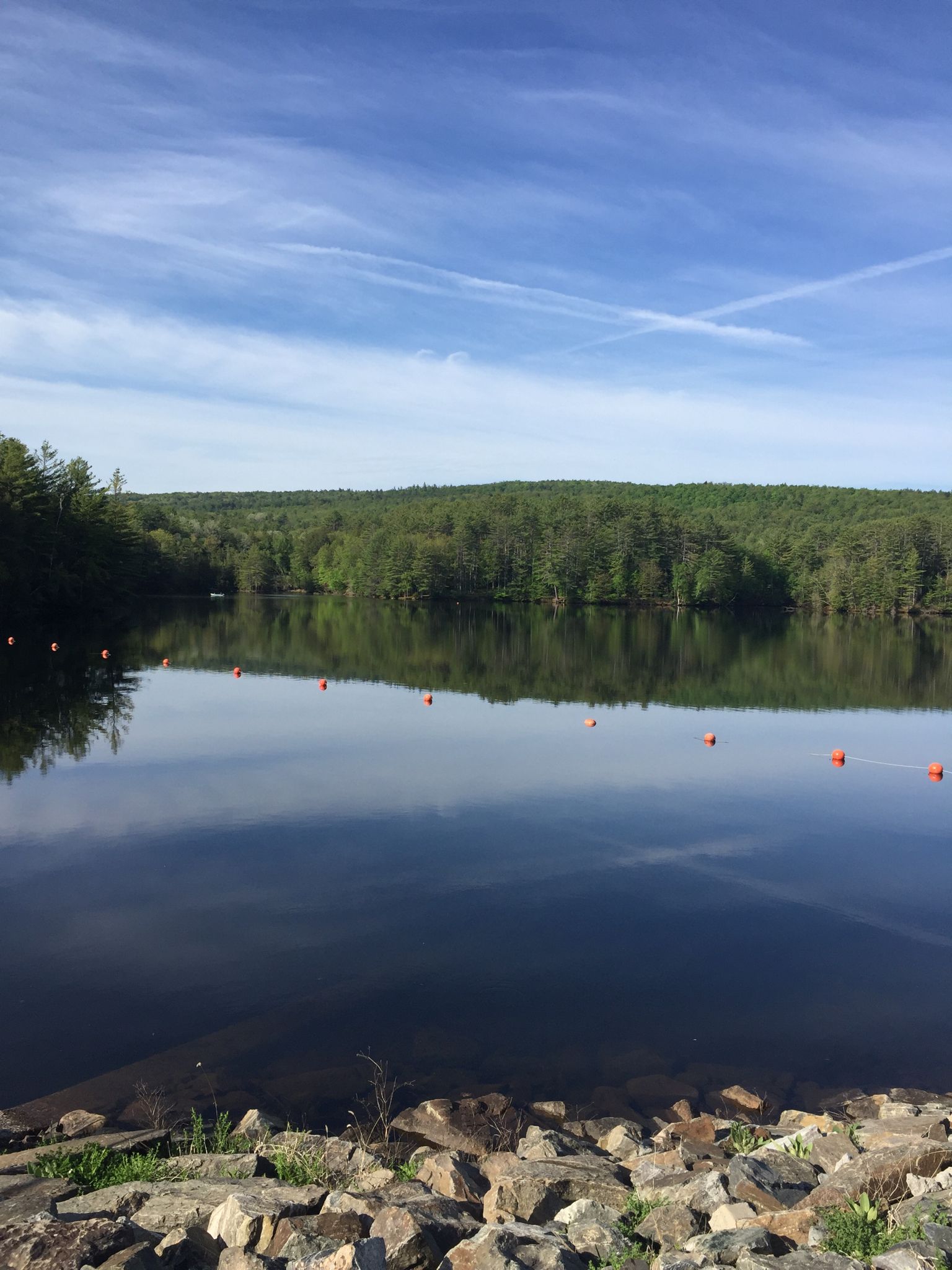 Stewart’s Pond