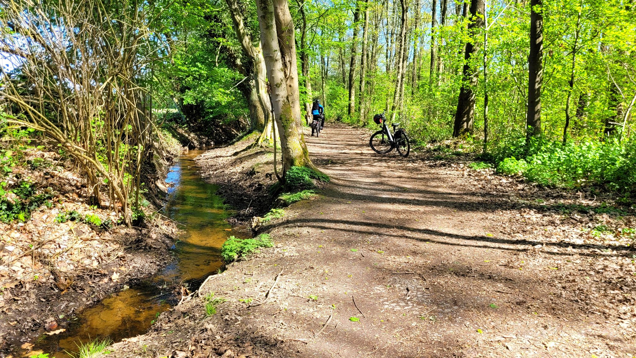 Hinkesforstgraben in der Überanger Mark - Hinkesforst