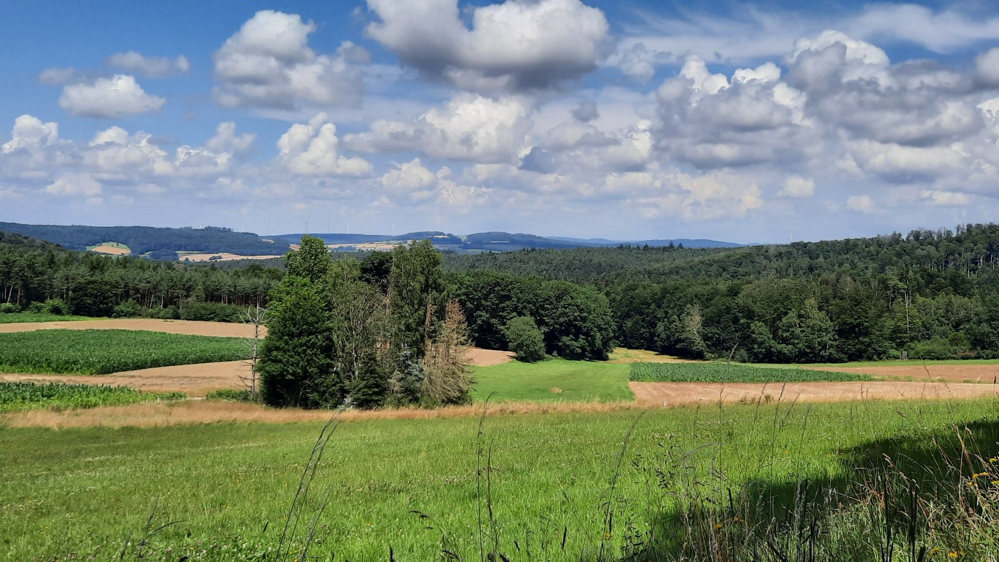 Blick zum Bechtelsberg