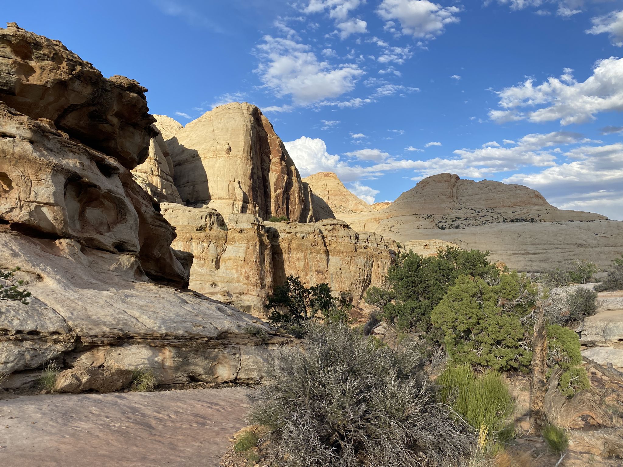 Desert landscape with light rock formations, green shrubs, and blue sky with clouds. - Hickman Bridge Trail