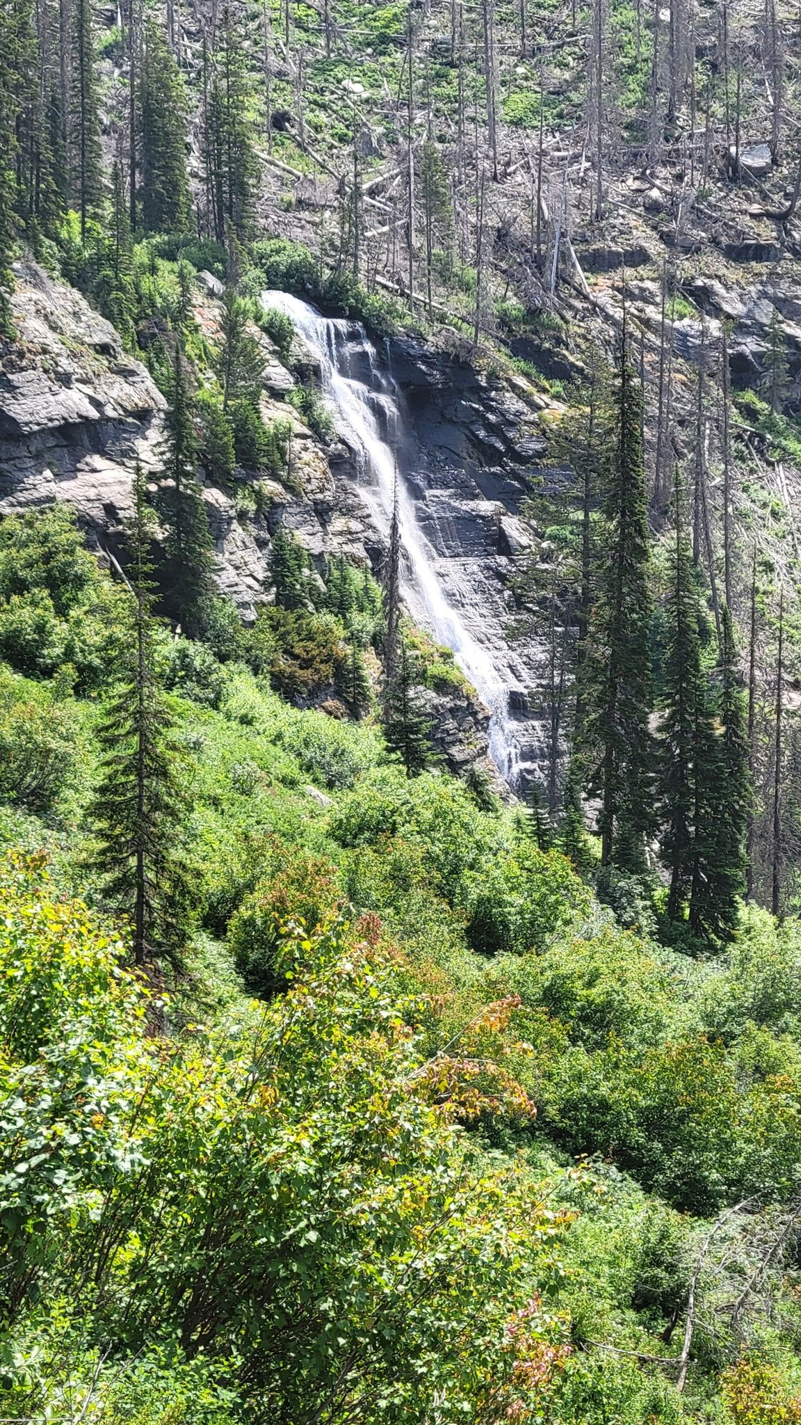 A tall waterfall cascades down a rocky cliff surrounded by lush green vegetation. - Sperry Chalet