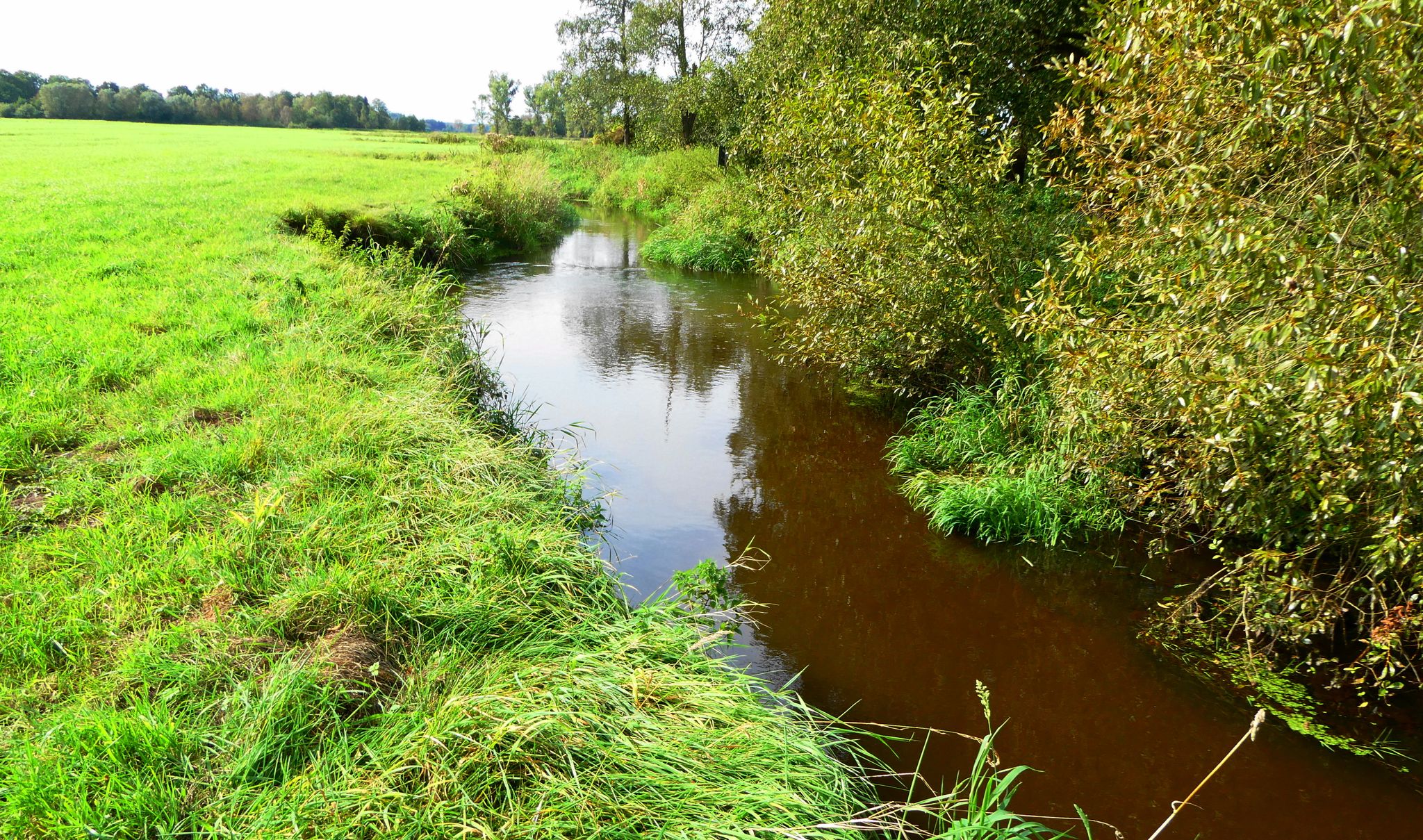 Schwinge im Oberlauf: Richtung Quelle