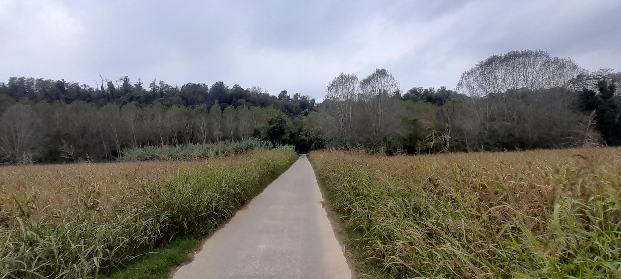 Lo Strappo verso Valenza Monte