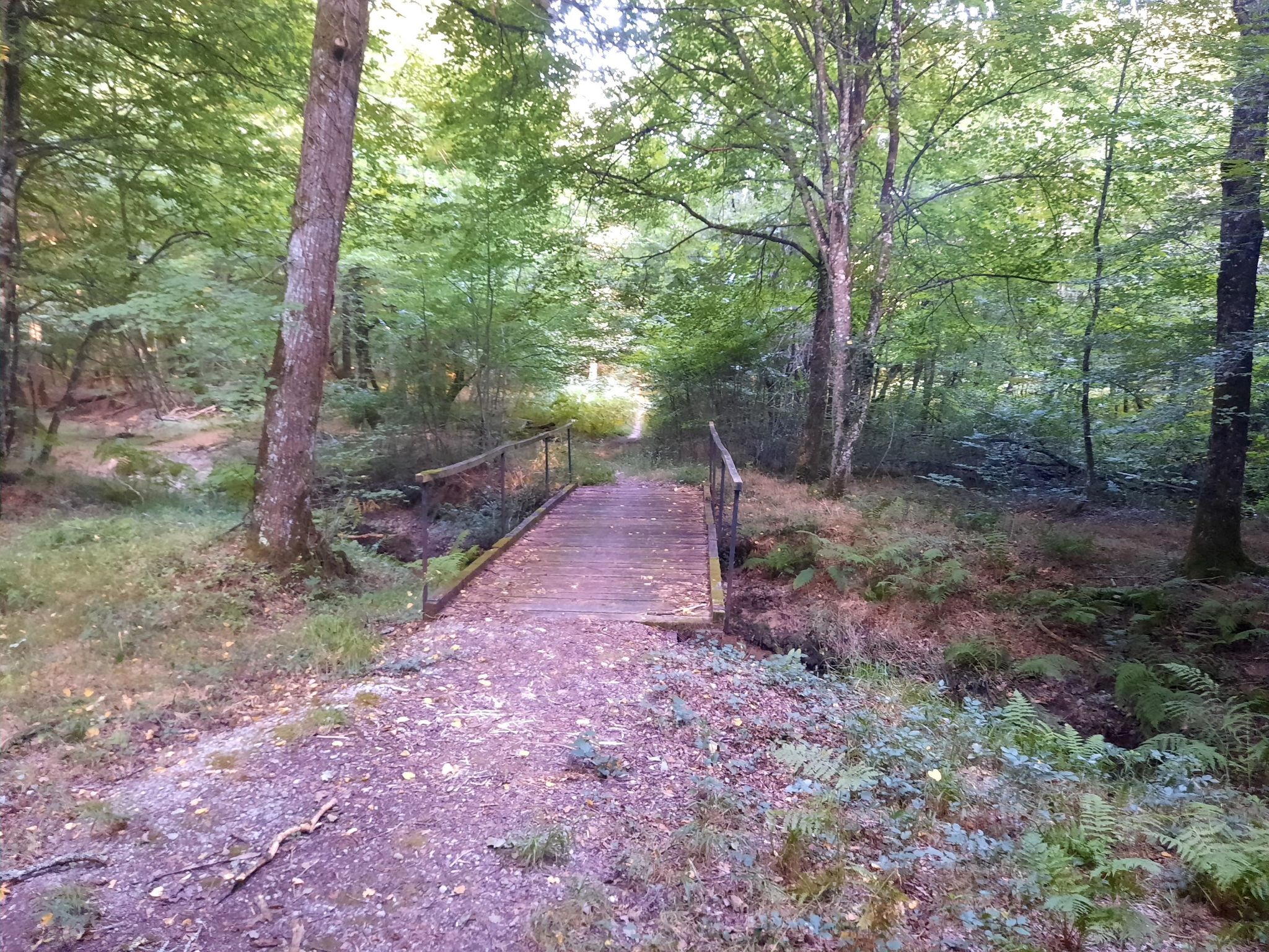 bridge