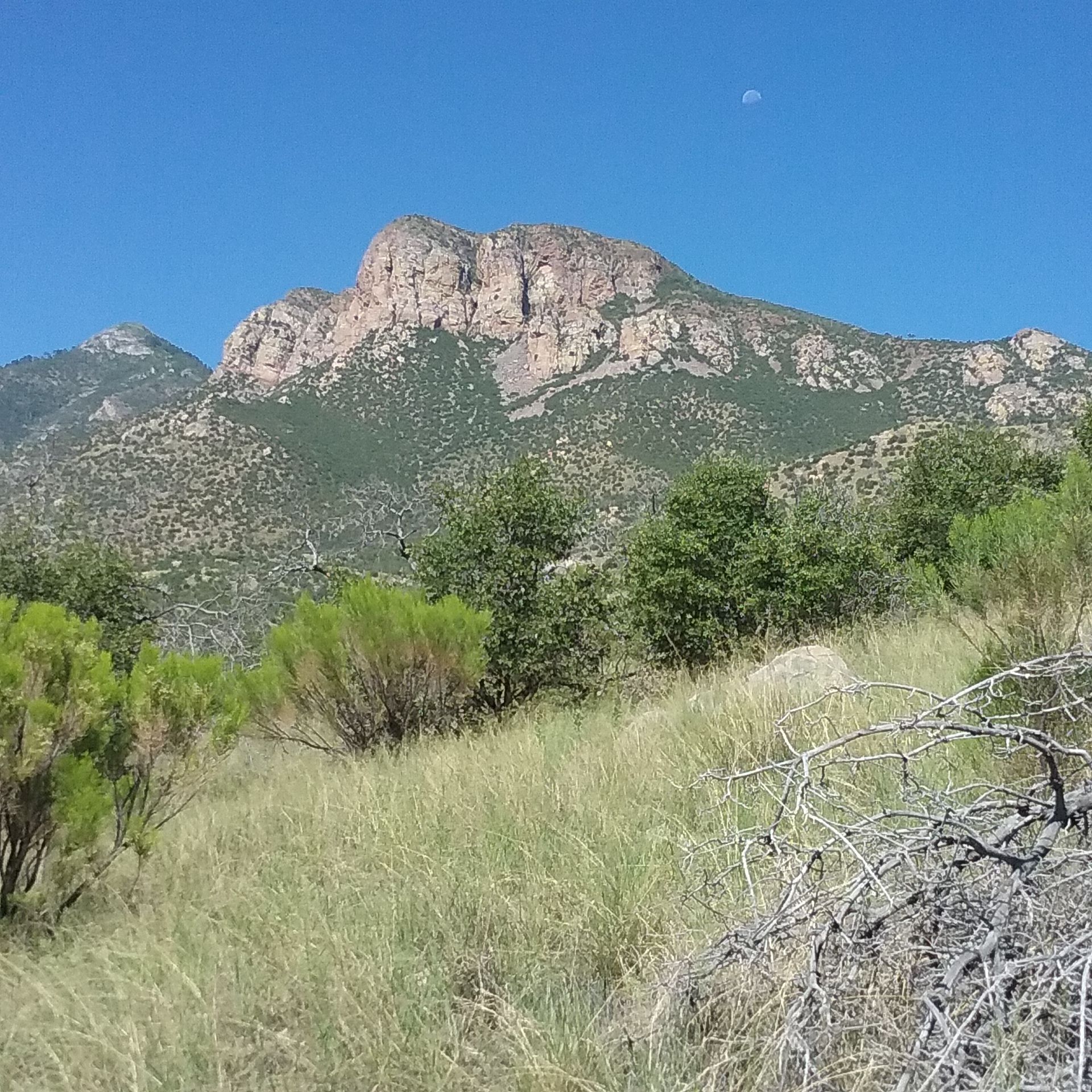 Rocky mountain peak under clear blue sky with moon, arid foreground. - Perimeter and Clark Spring Loop