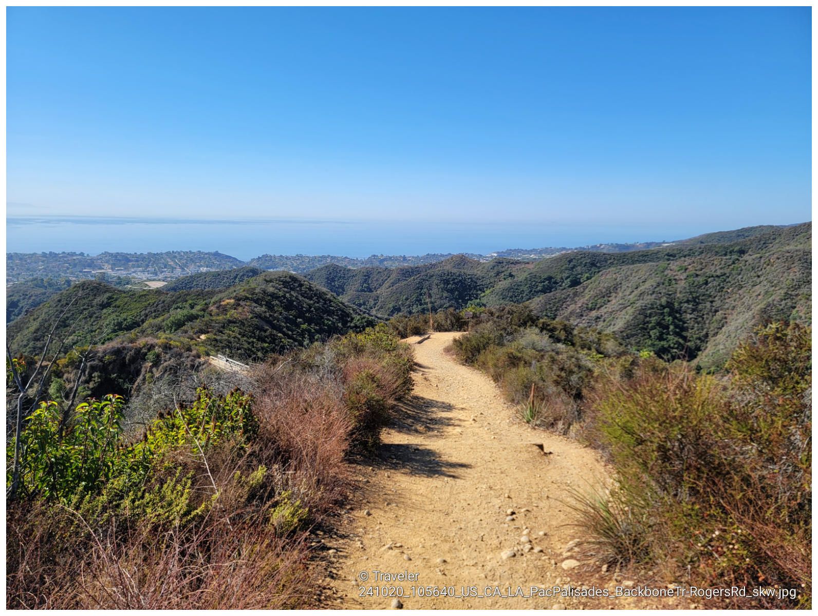 Dirt trail winds through green hills with distant ocean under clear blue sky. - Inspiration, Roger's Road, and Rodeo Ridge Loop