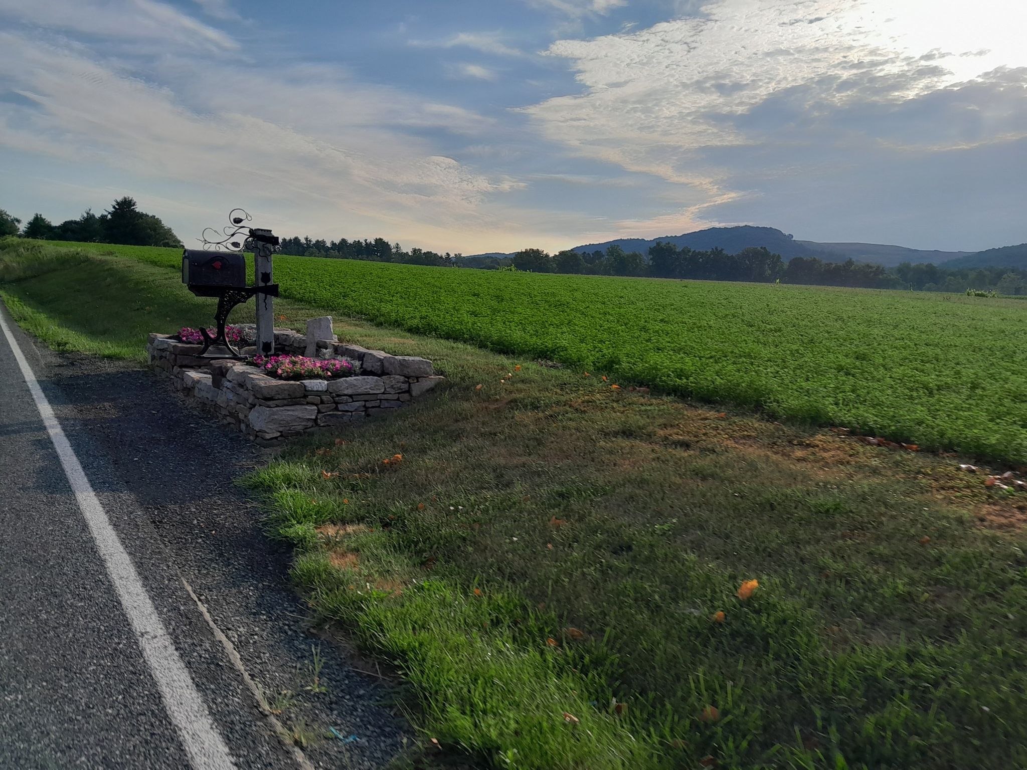A roadside monument with flowers next to a vast green field and hills. - Oley Township loop