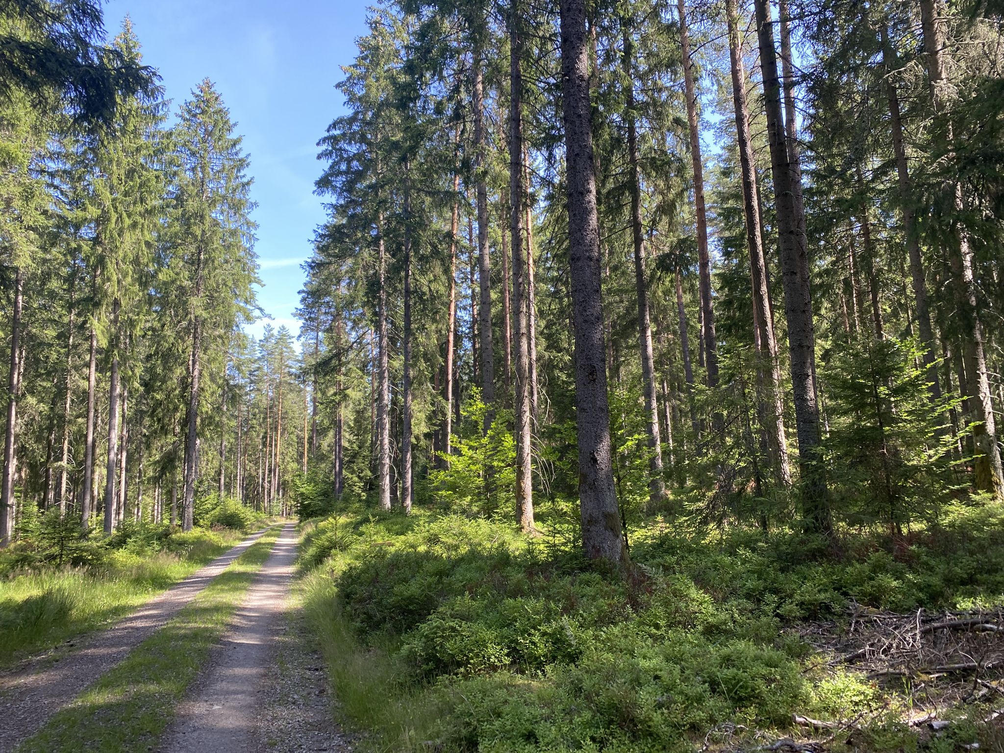wunderbare Strecke