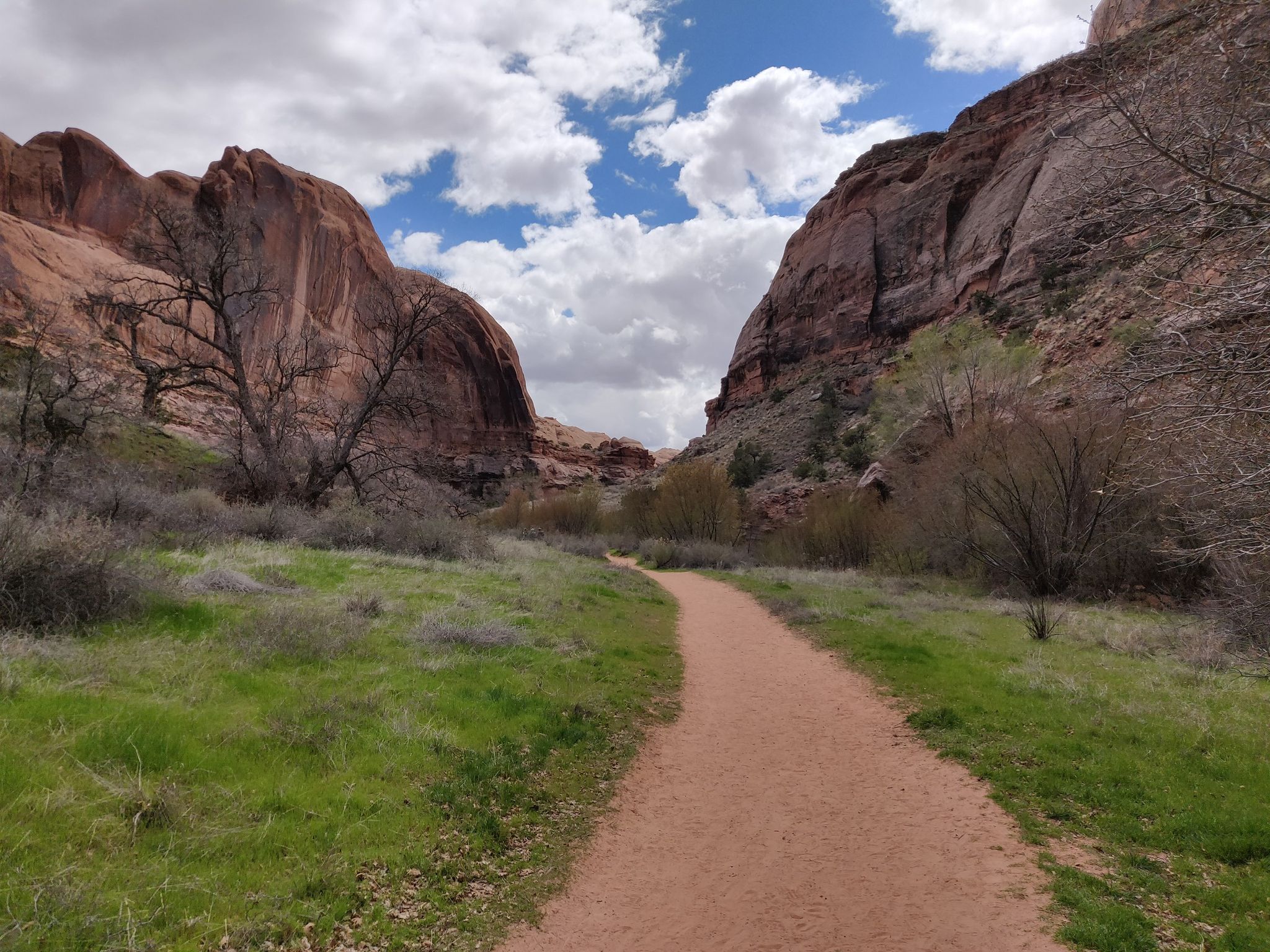 Dirt path leads into a canyon with red rock walls and green vegetation. - Grandstaff Canyon Creek – Moab Canyon Pathway loop from Grand County Transit Hub