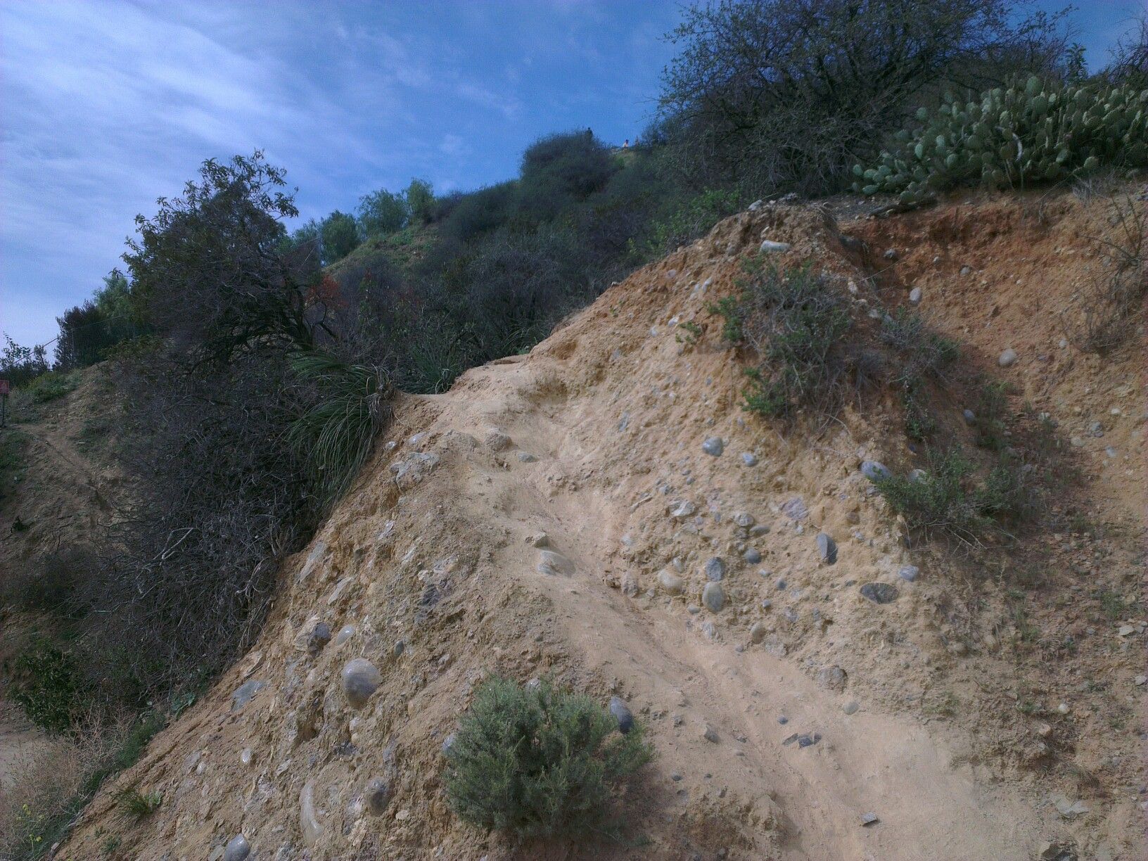 Steep, narrow dirt path winding up a brush-covered hillside. - Shortcut from viewpoint loop from Walk of Fame
