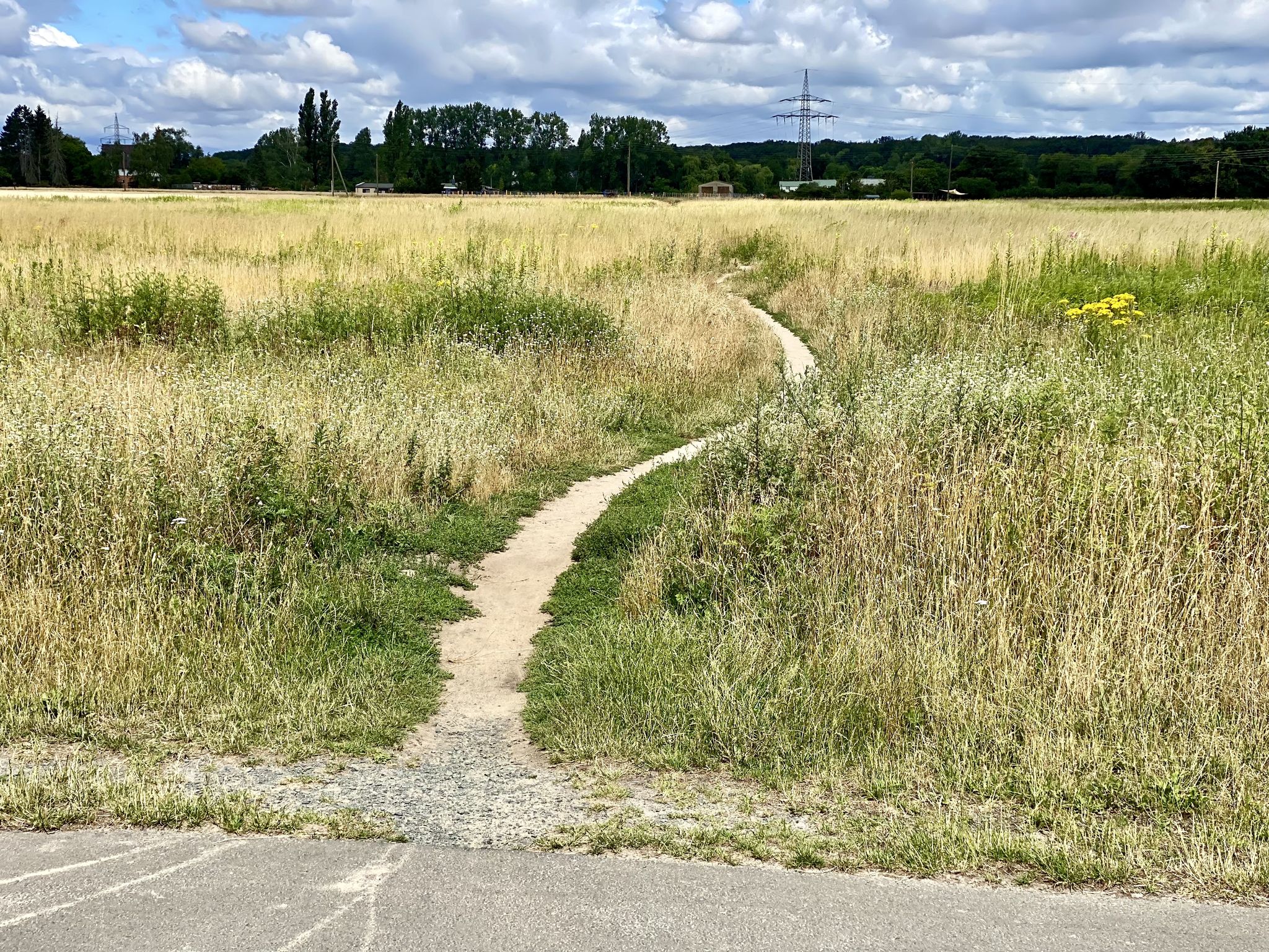 Ich nehme natürlich den Trampelpfad