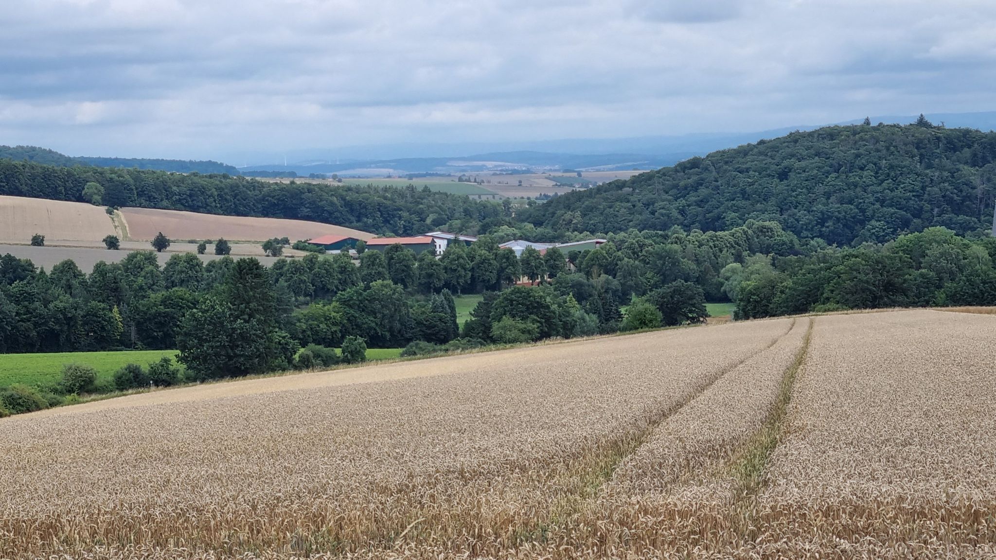 Etzenborn in Sicht