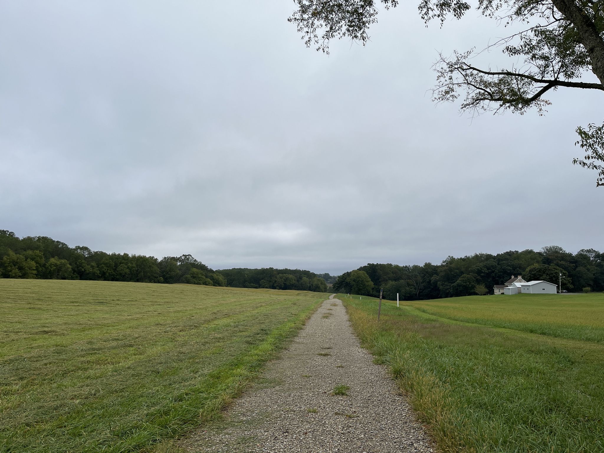 A long gravel path through green fields towards distant trees and a house. - Fair Hill Trailhead – Fair Hill Crossing loop from Appleton