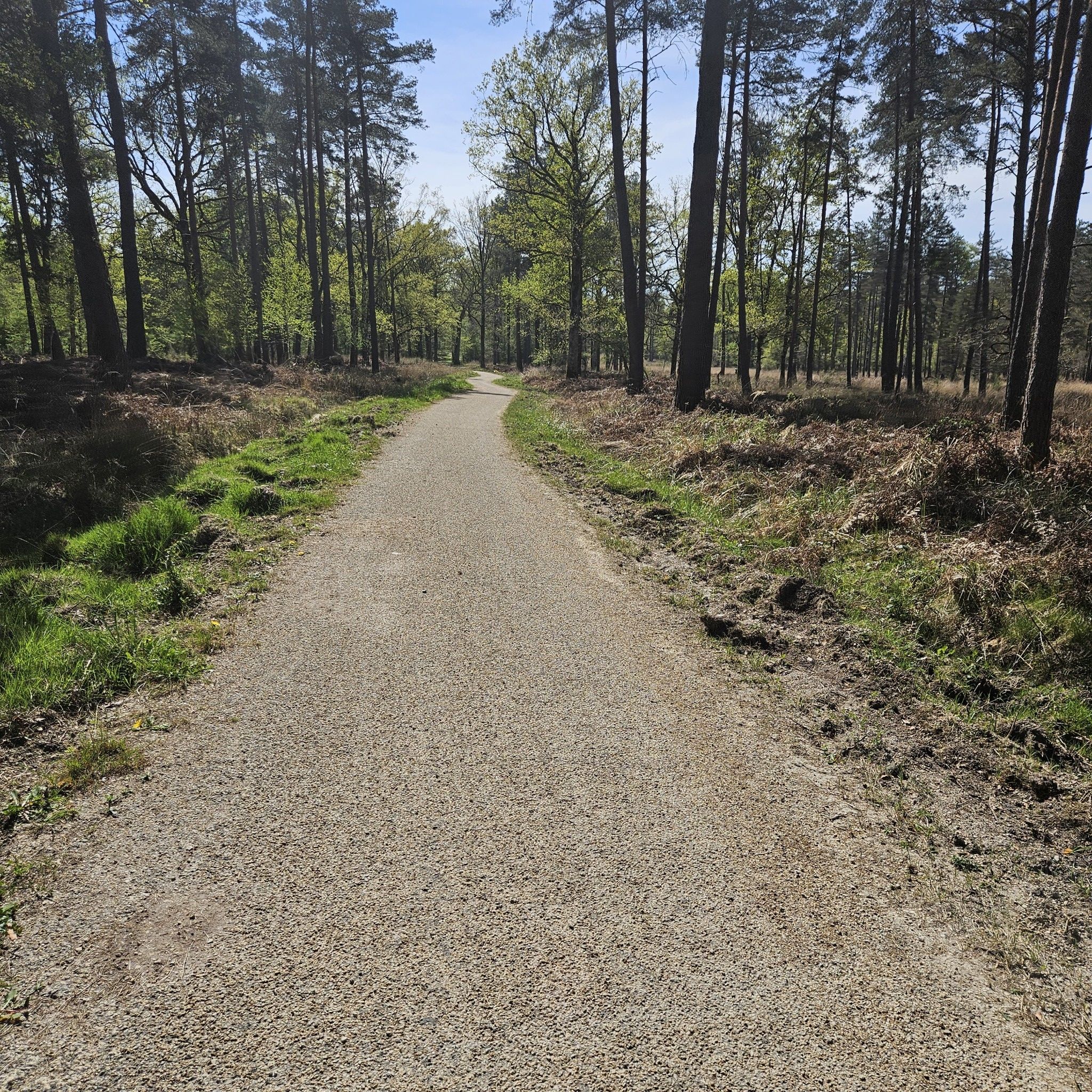 piste cyclable pour rejoindre Chambord