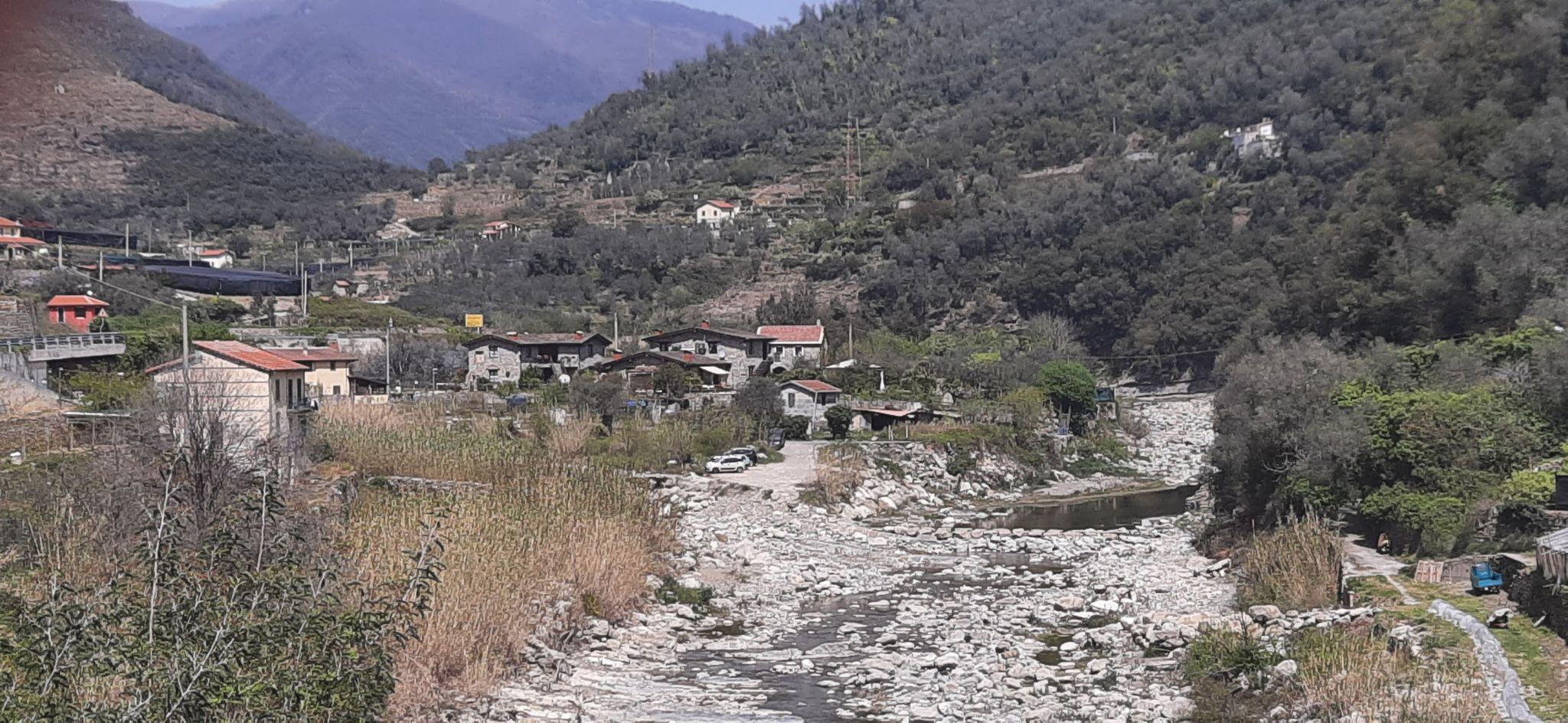 Badalucca