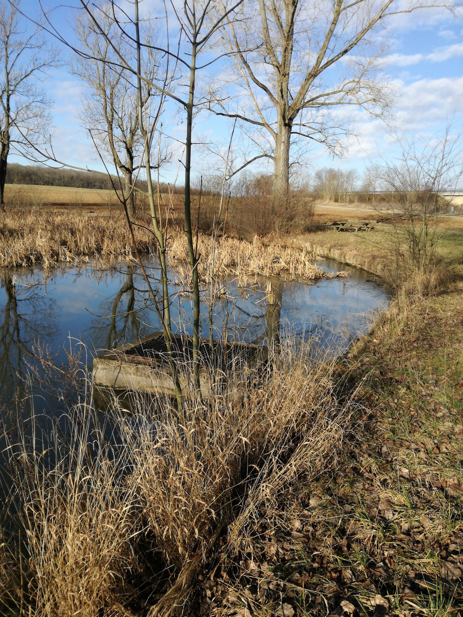 Weiher mit Rastplatz