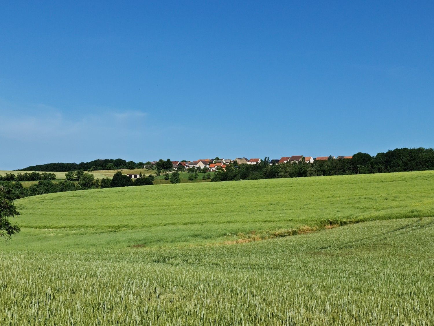 Kirrweiler
