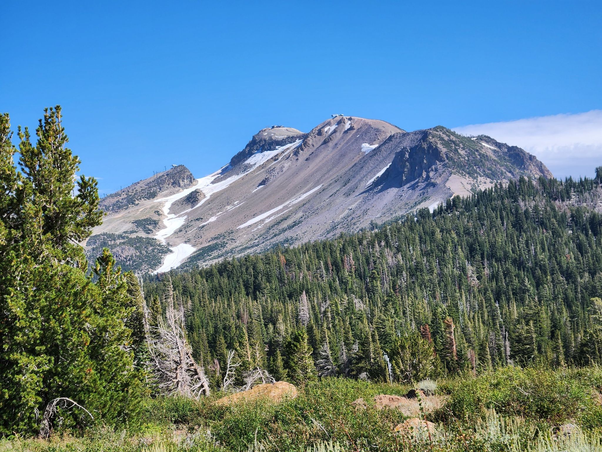 Sunny view of a large mountain with snow patches above a dense pine forest. - Minaret Vista Trail