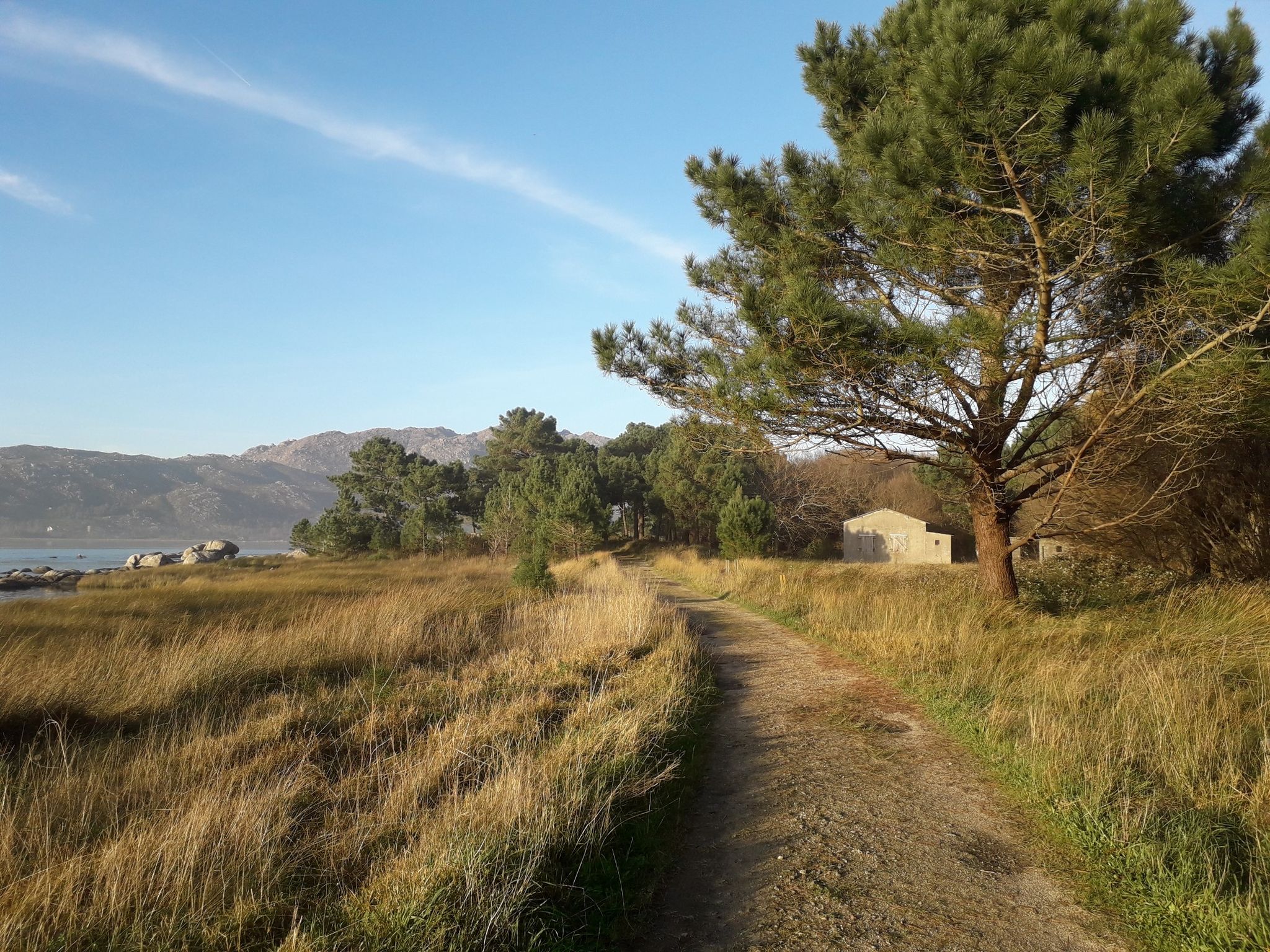 Weg an der Küste