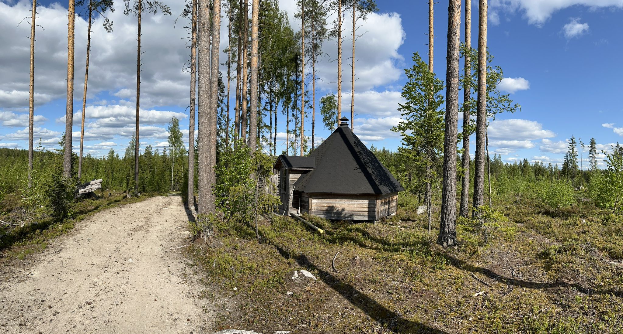 Pitkäniittu