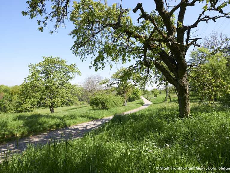 der-gr-ng-rtel-rundwanderweg-frankfurt-am-main-wander-collection-von