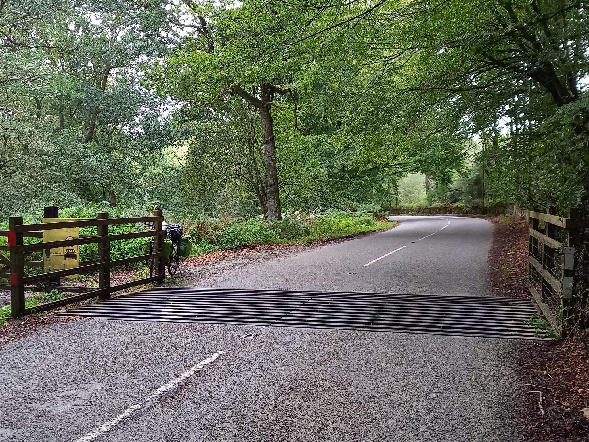 Bin schon längst im Dartmoor (Nationalpark) und ab jetzt ist wieder mit....>>>