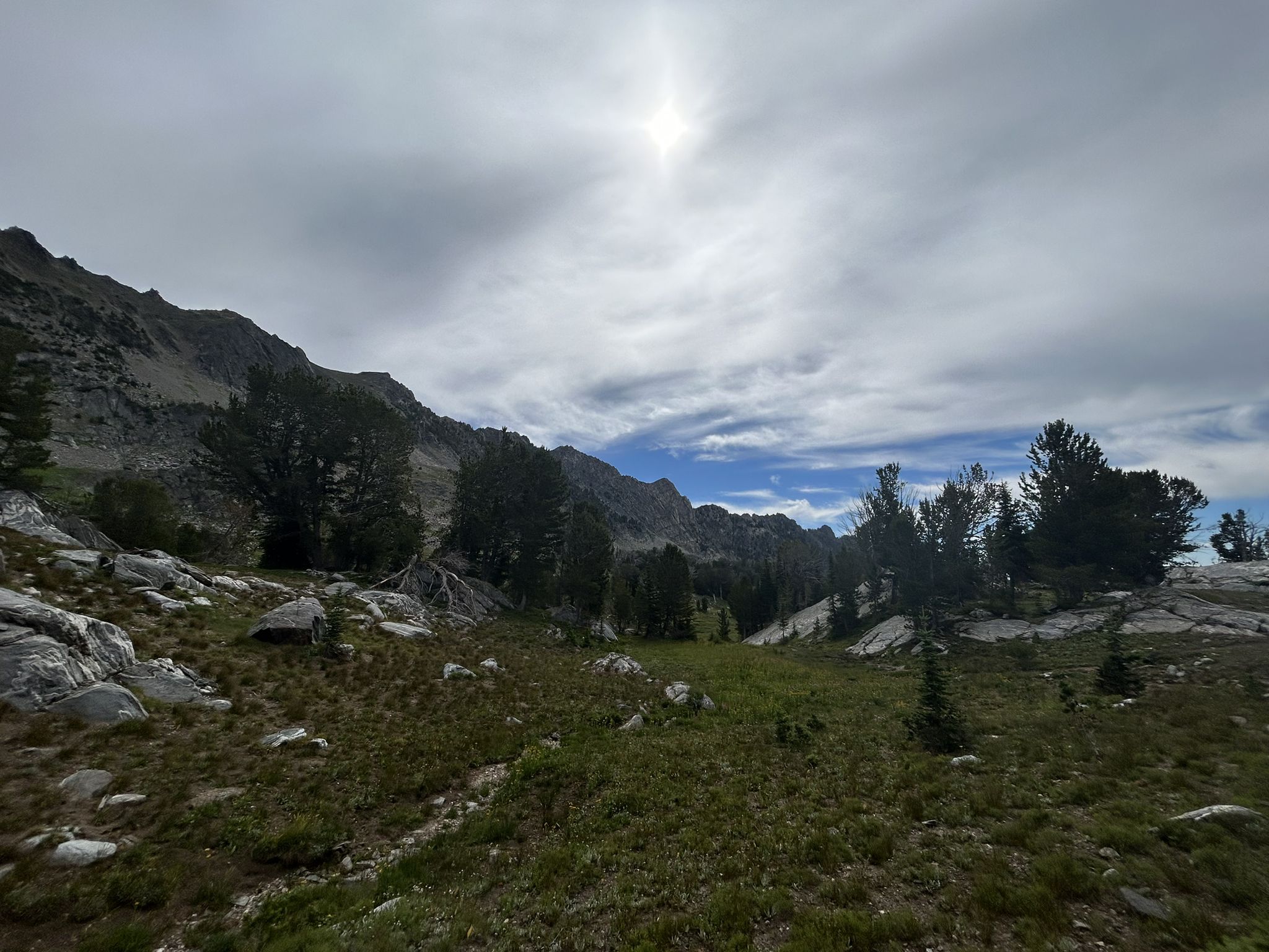 Sunny mountain landscape with green grass, pine trees, and rocky peaks. - Beehive Basin Trail No. 40