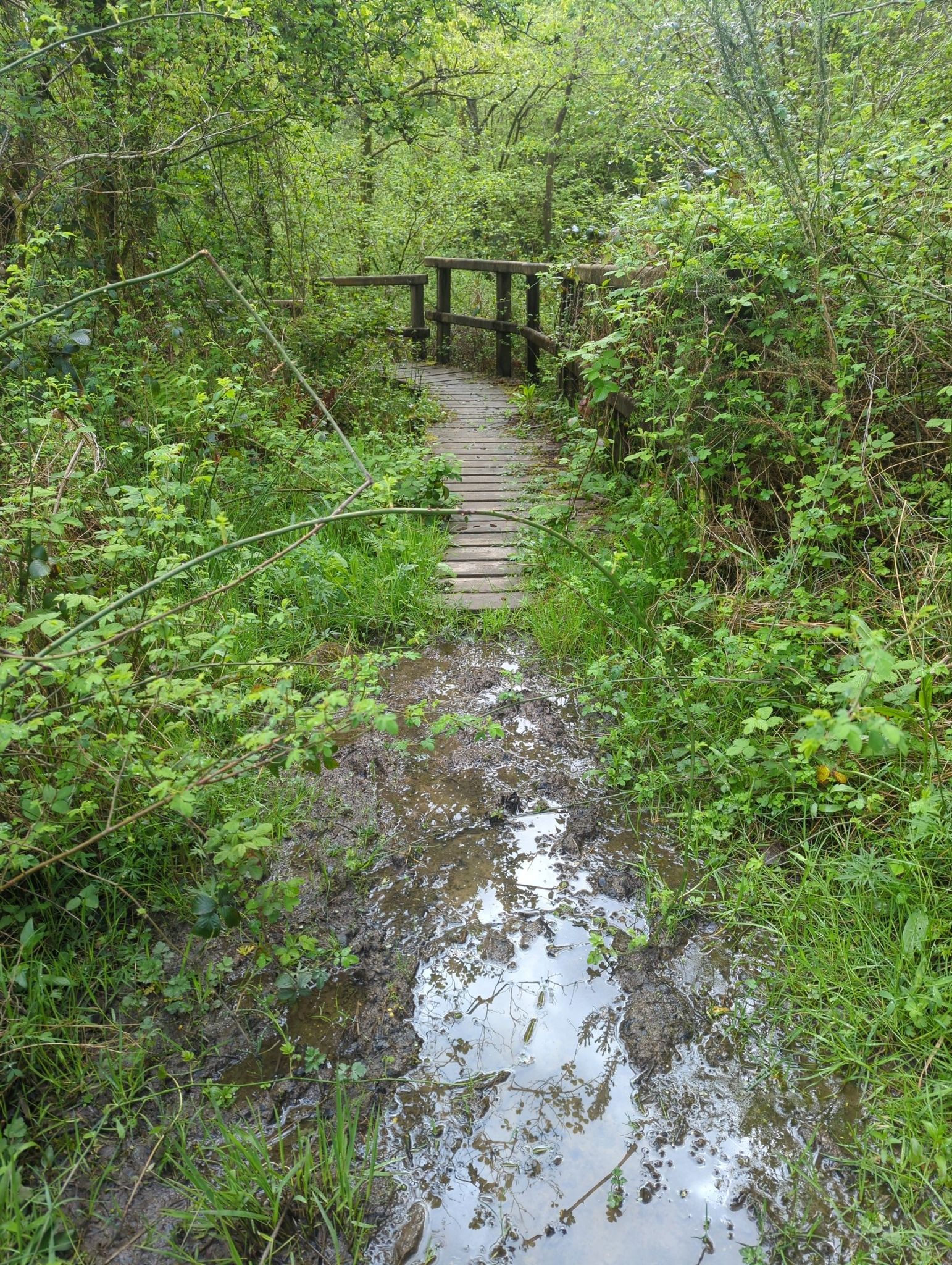 very muddy section, unpathed
